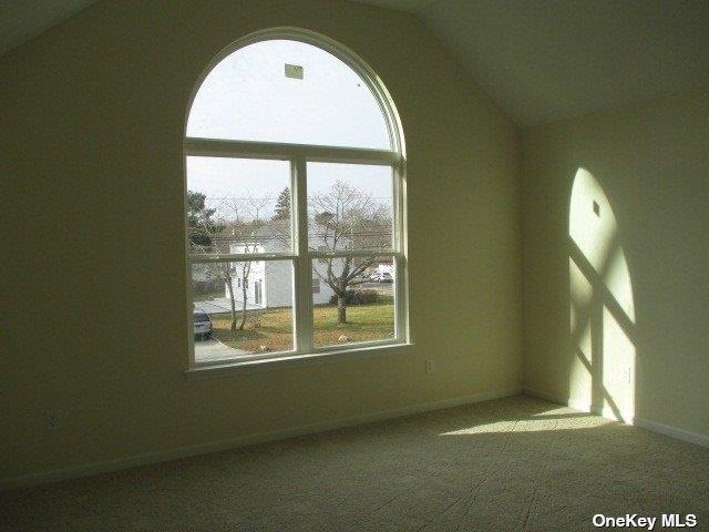 427 Macdonald Avenue – For Sale photo 18