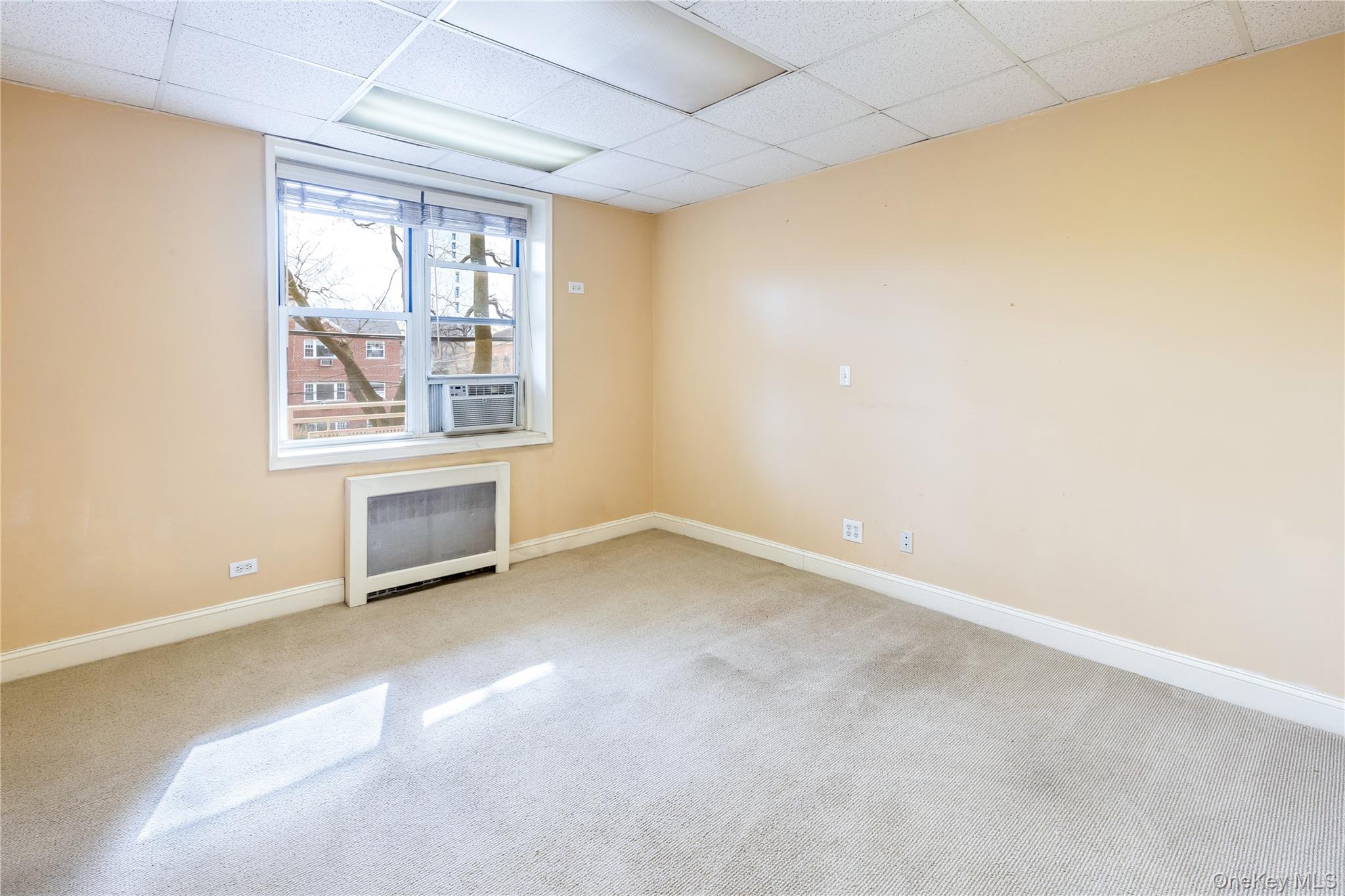 5601 Riverdale Avenue, Unit D1 photo 5