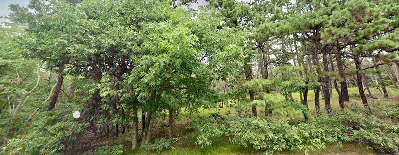 202-214 Old Country – For Sale photo 6