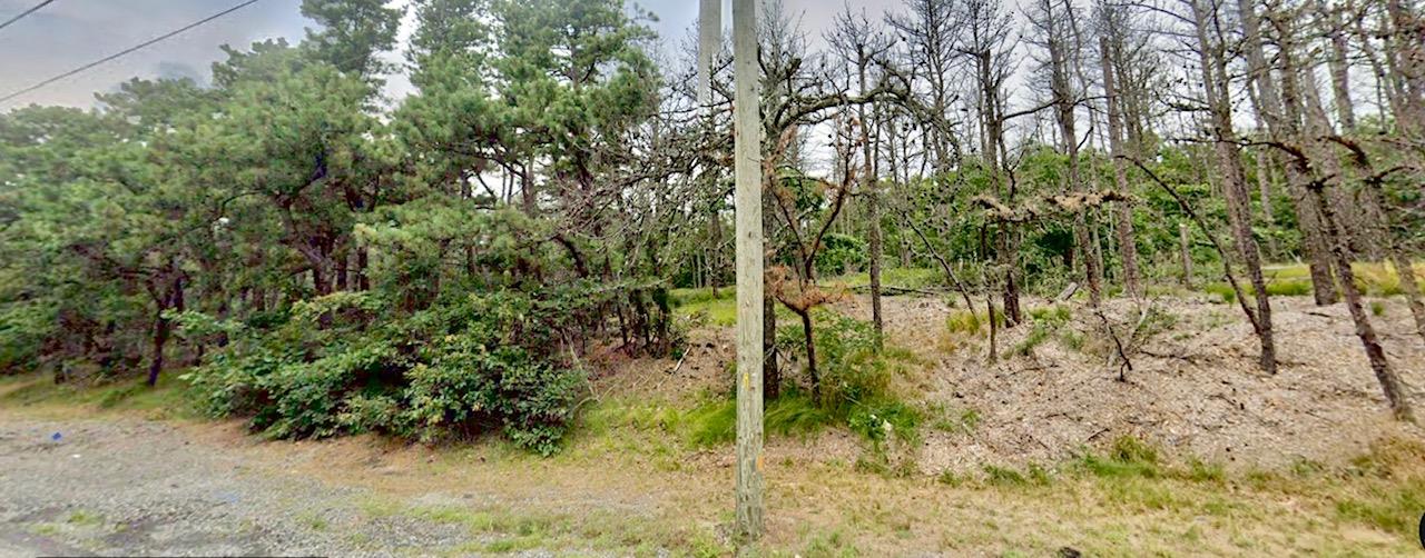 202-214 Old Country – For Sale photo 8