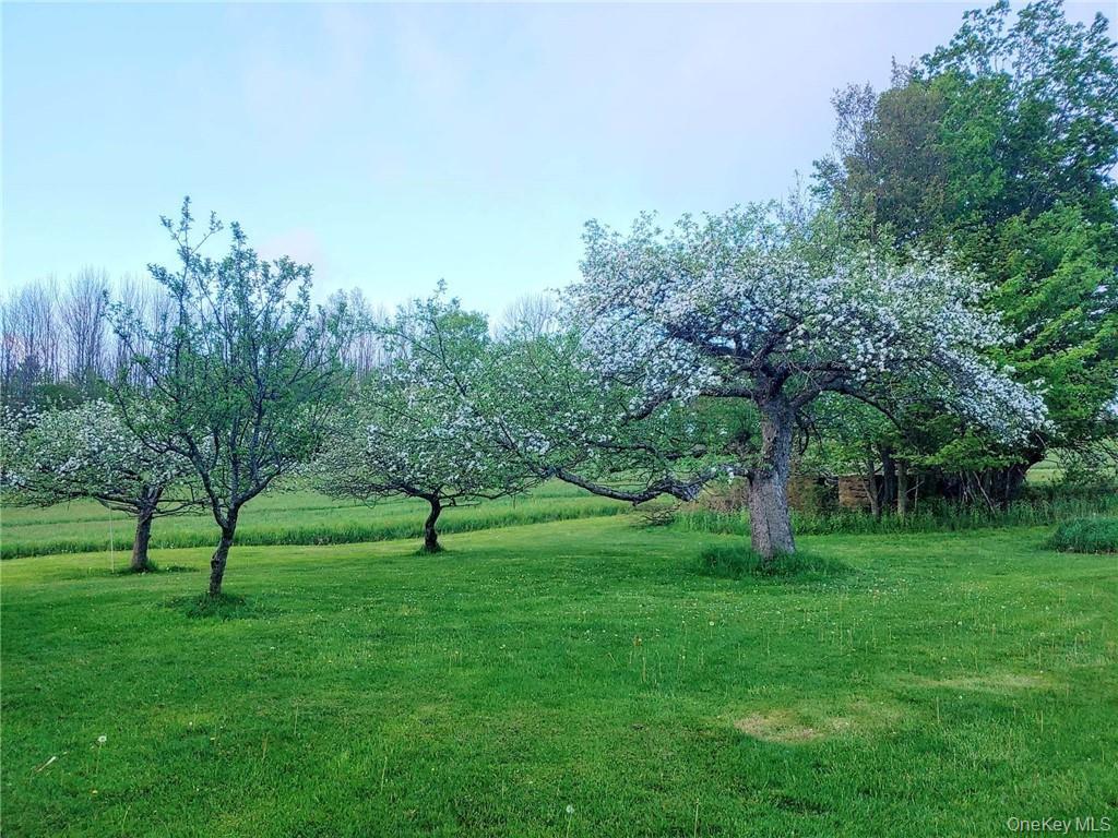 354 E Hill Road – For Sale photo 34