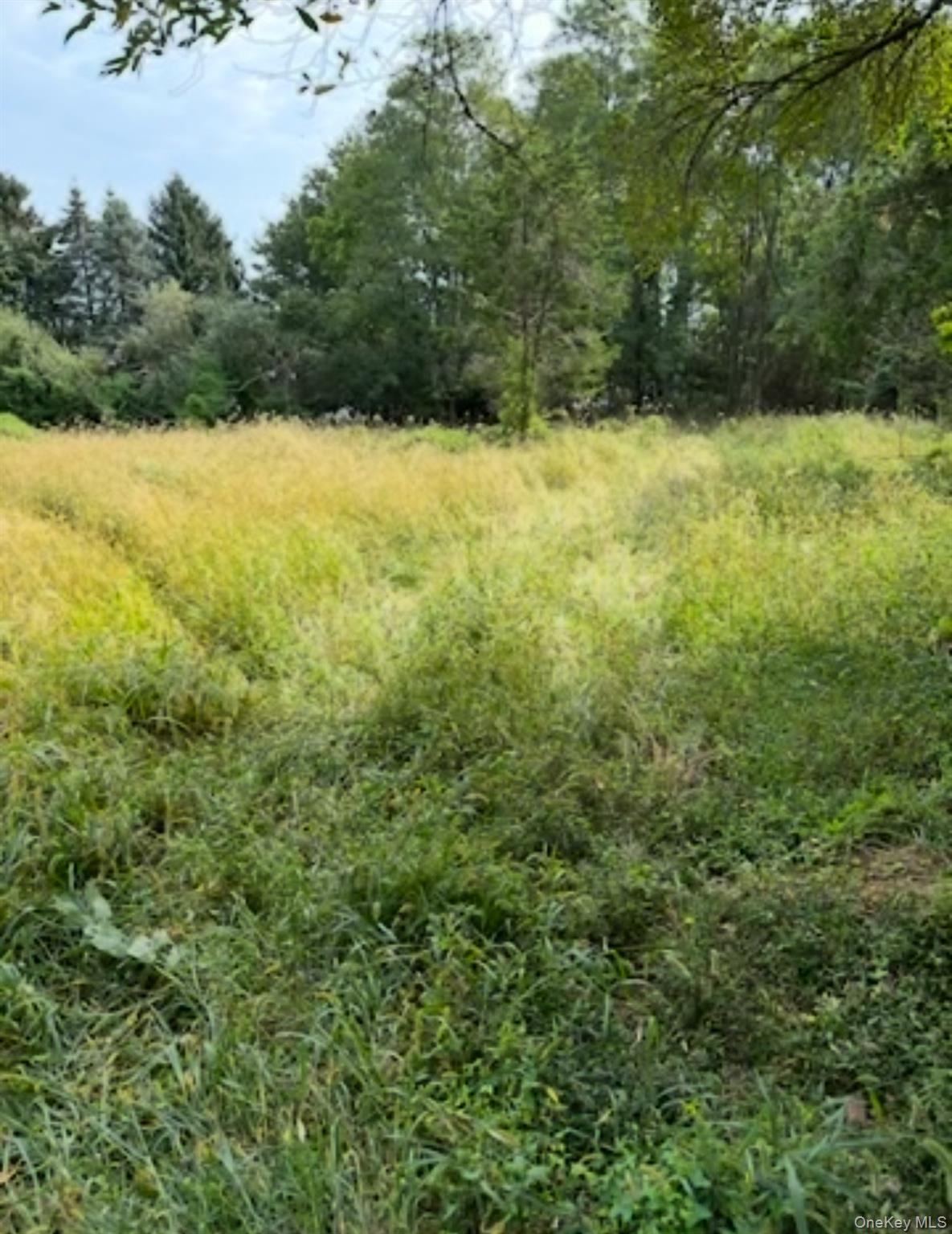 1350 Hortons Lane – For Sale