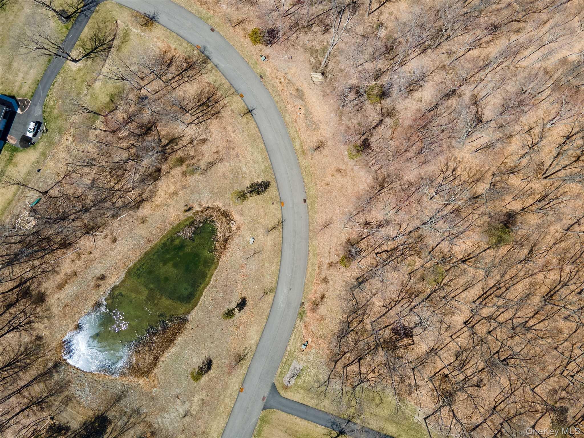 Stonecrest Lot #19 Court – For Sale photo 16