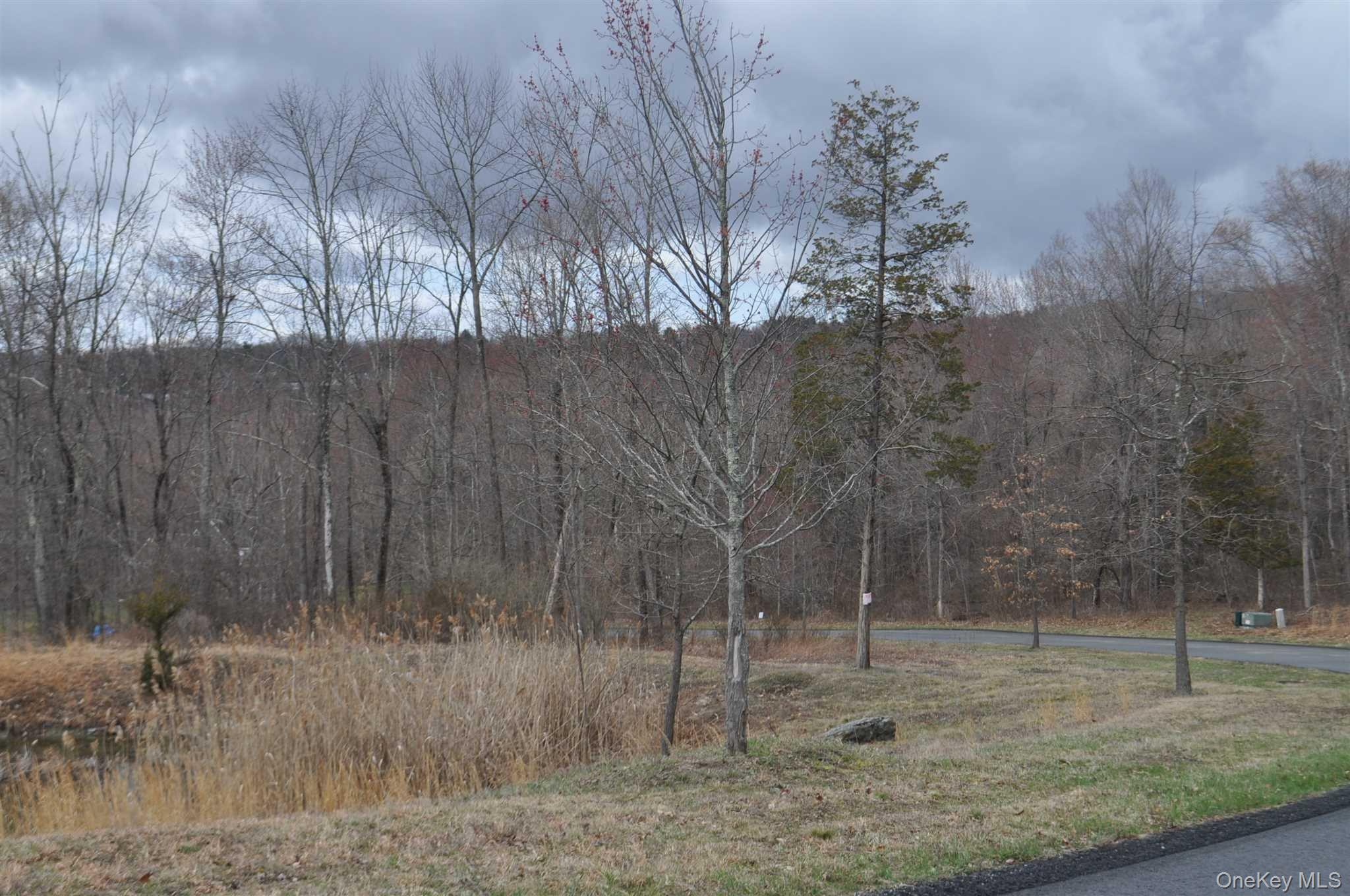 Stonecrest Lot #19 Court – For Sale photo 7