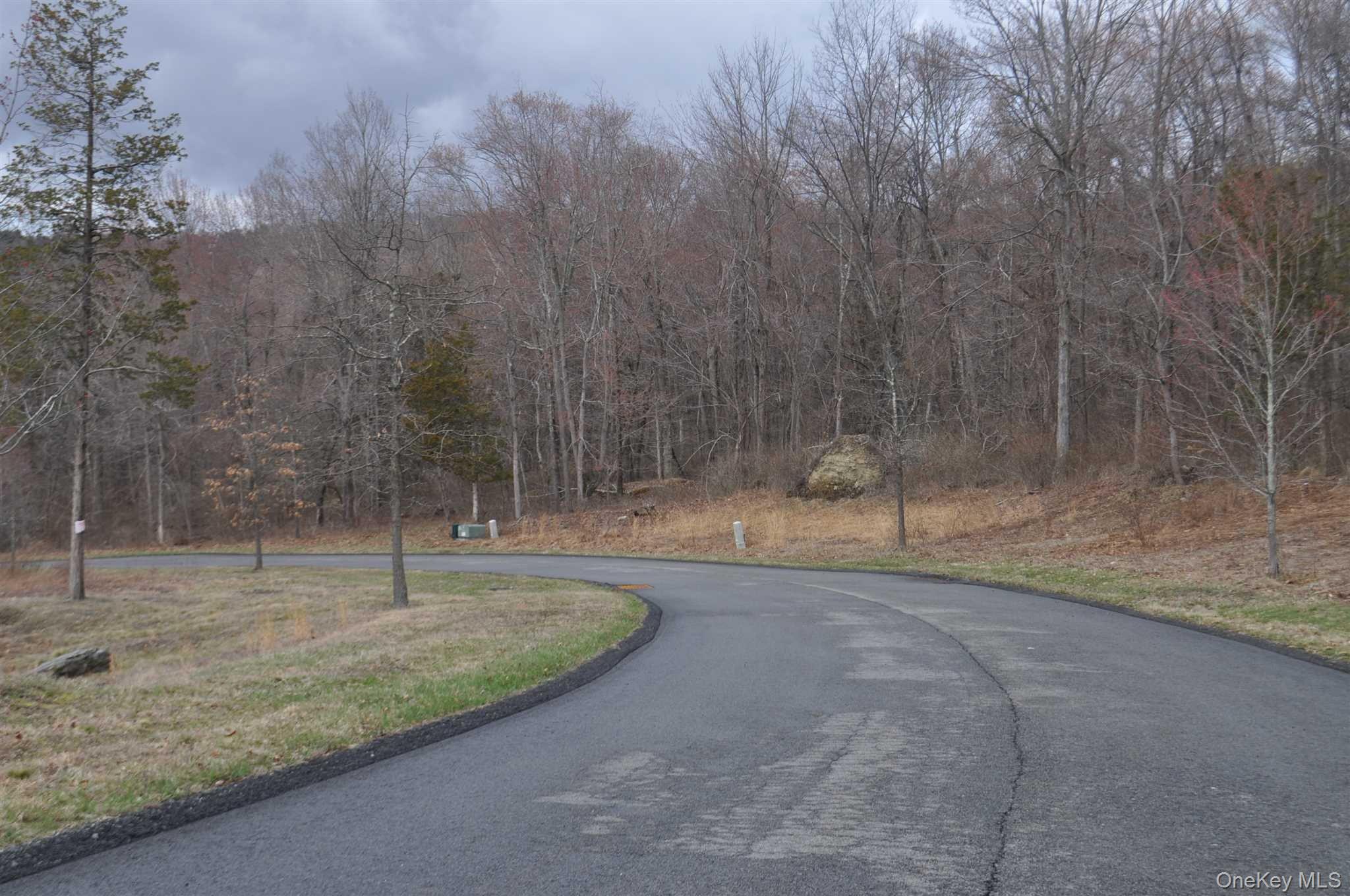 Stonecrest Lot #19 Court – For Sale photo 5