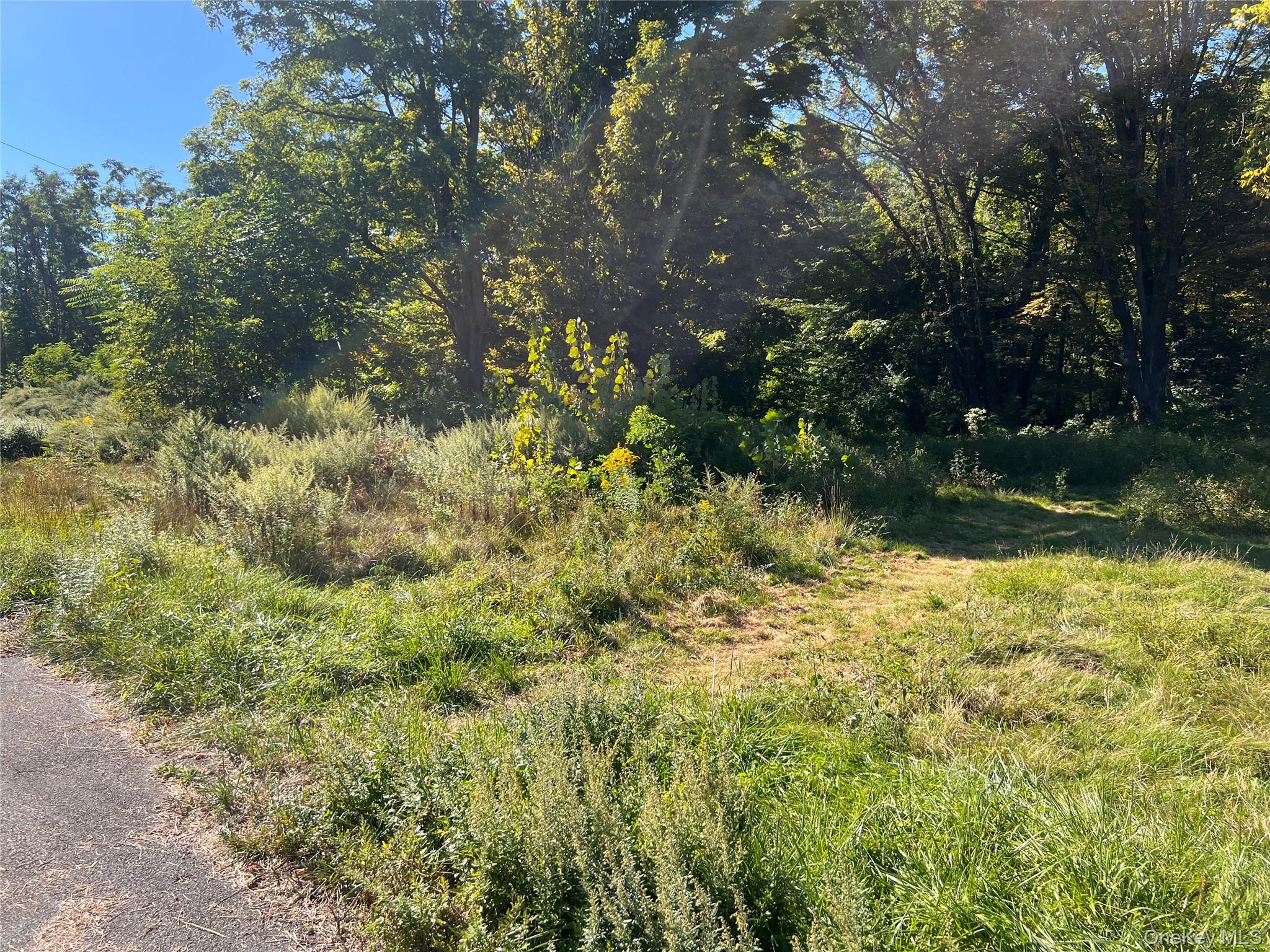 15 Main Street – For Sale photo 2