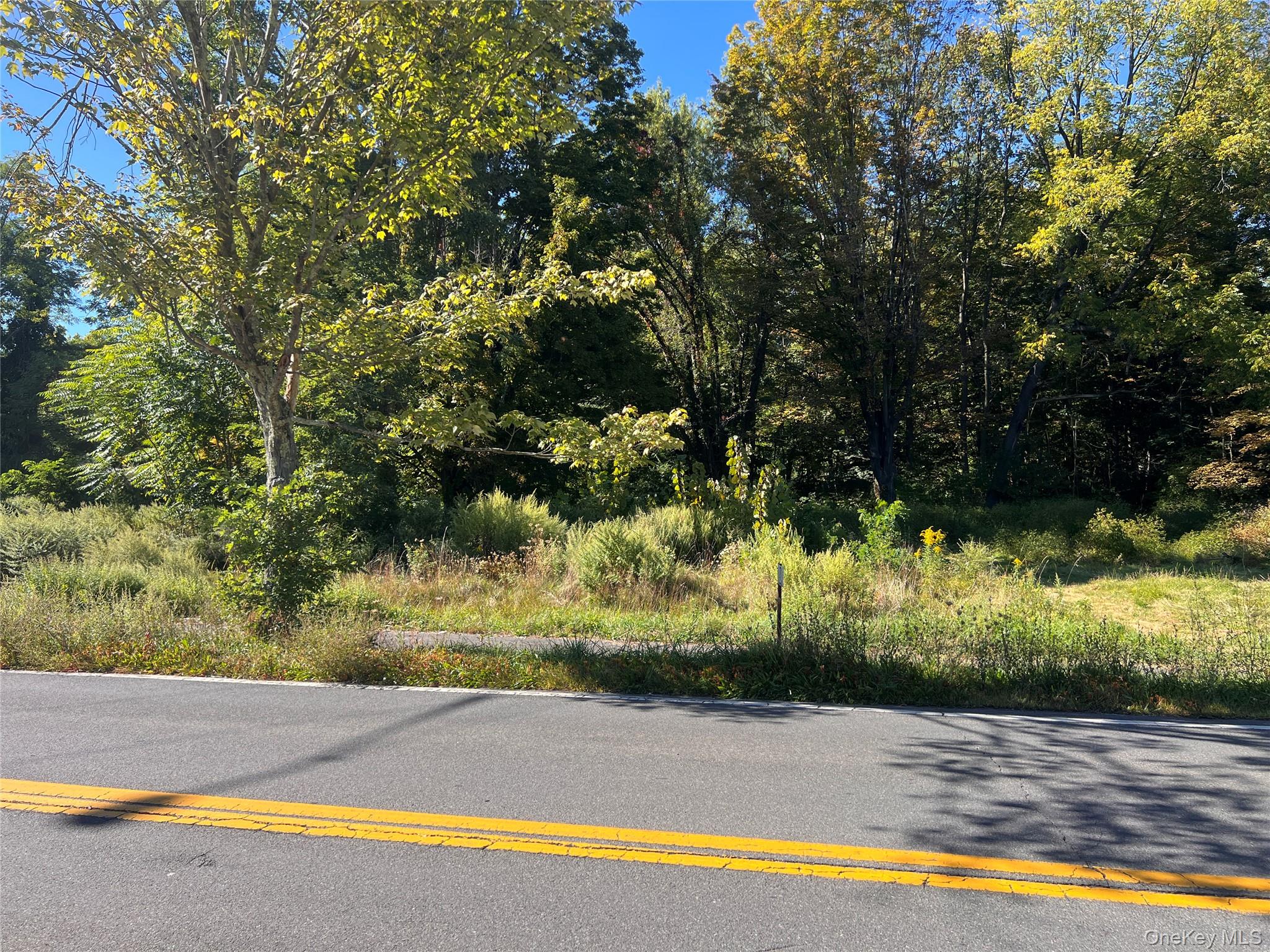 15 Main Street – For Sale photo 4