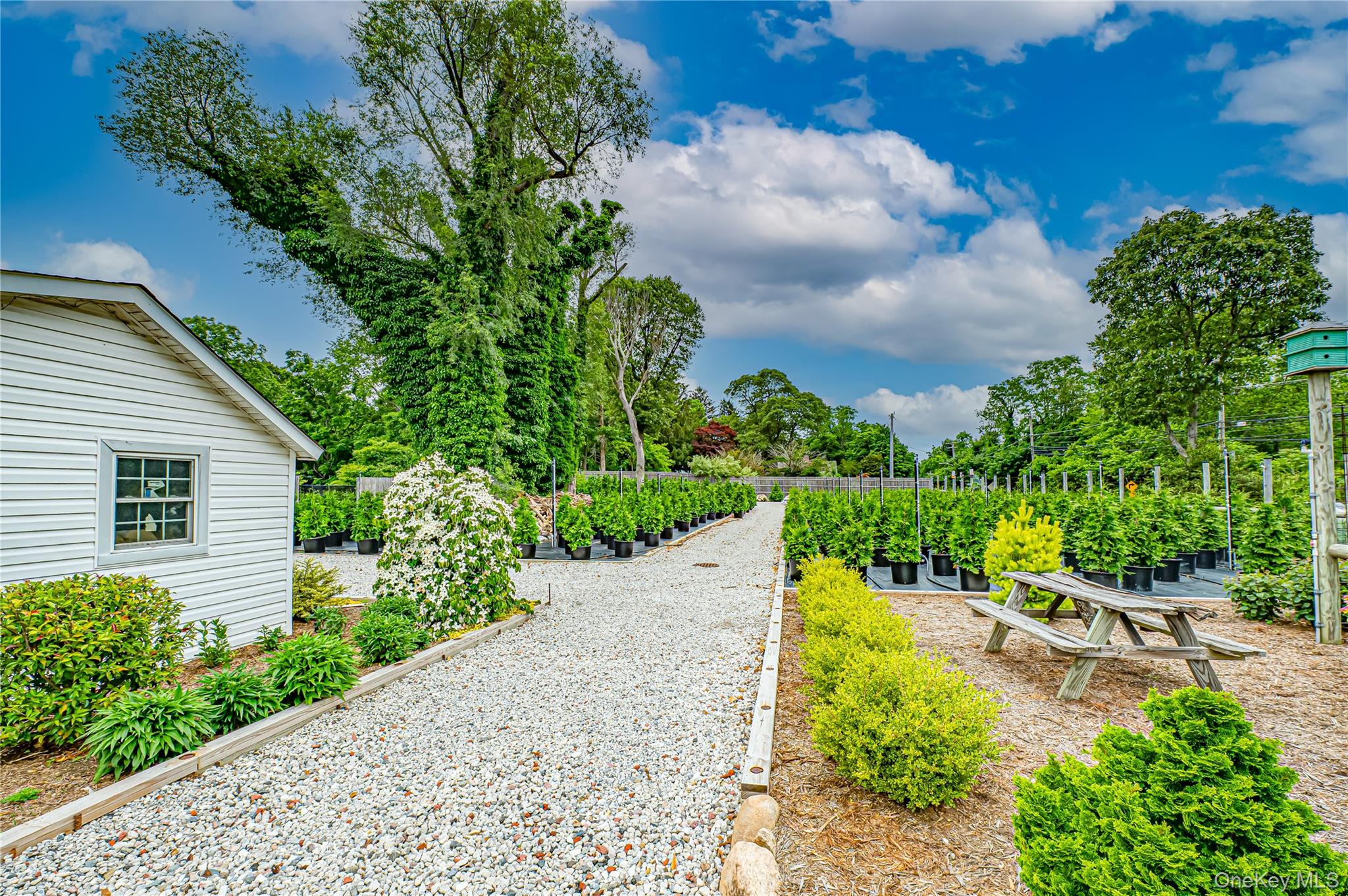 185-191 N Country Road – For Sale photo 13