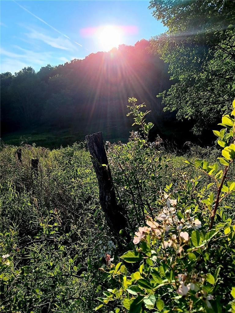 94 Stewart Road – For Sale photo 19