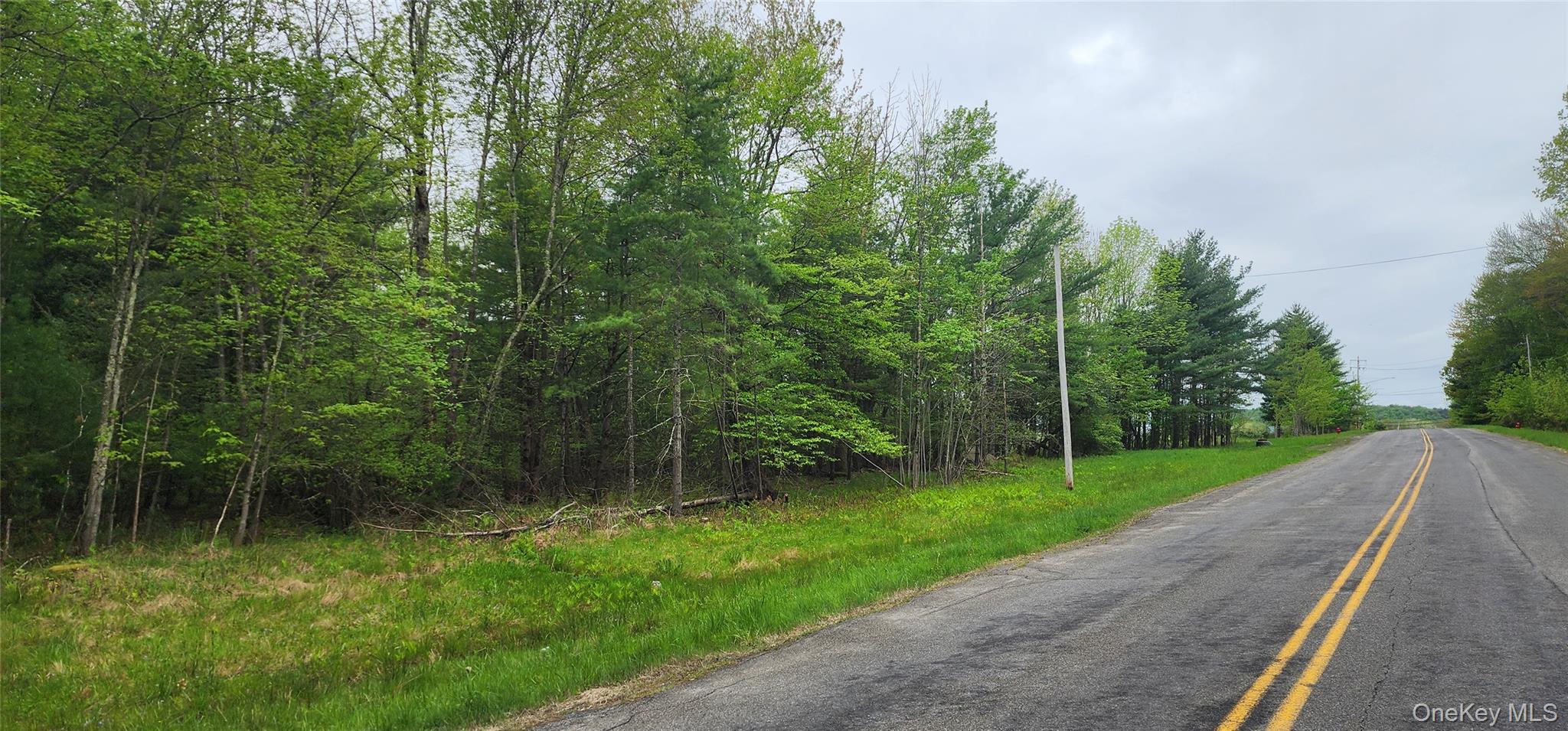 42 Concord Road – For Sale photo 13