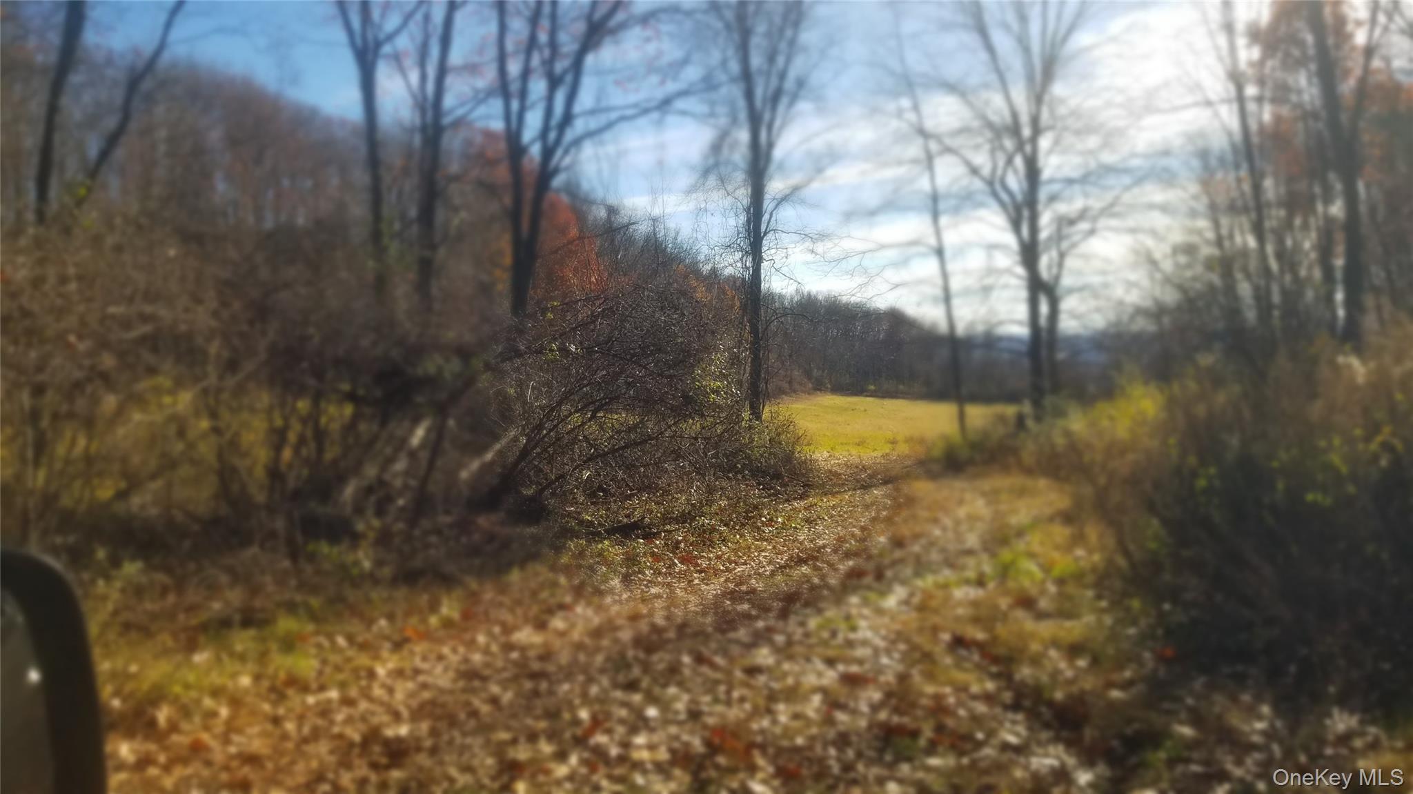 State Line Road – For Sale photo 13