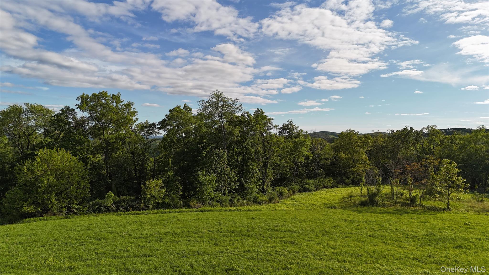 State Line Road – For Sale photo 7