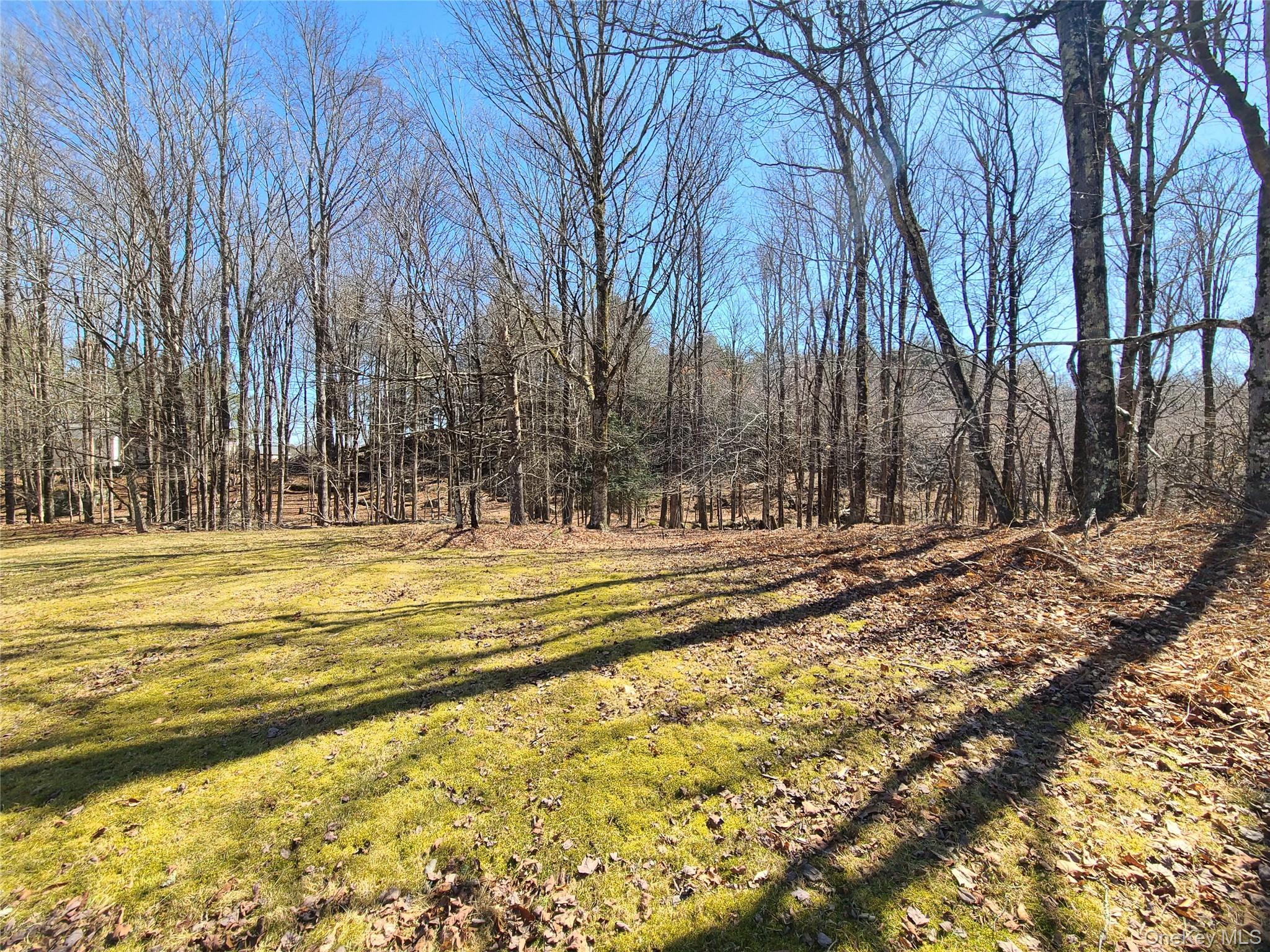1095 State Route 17B – For Sale photo 40