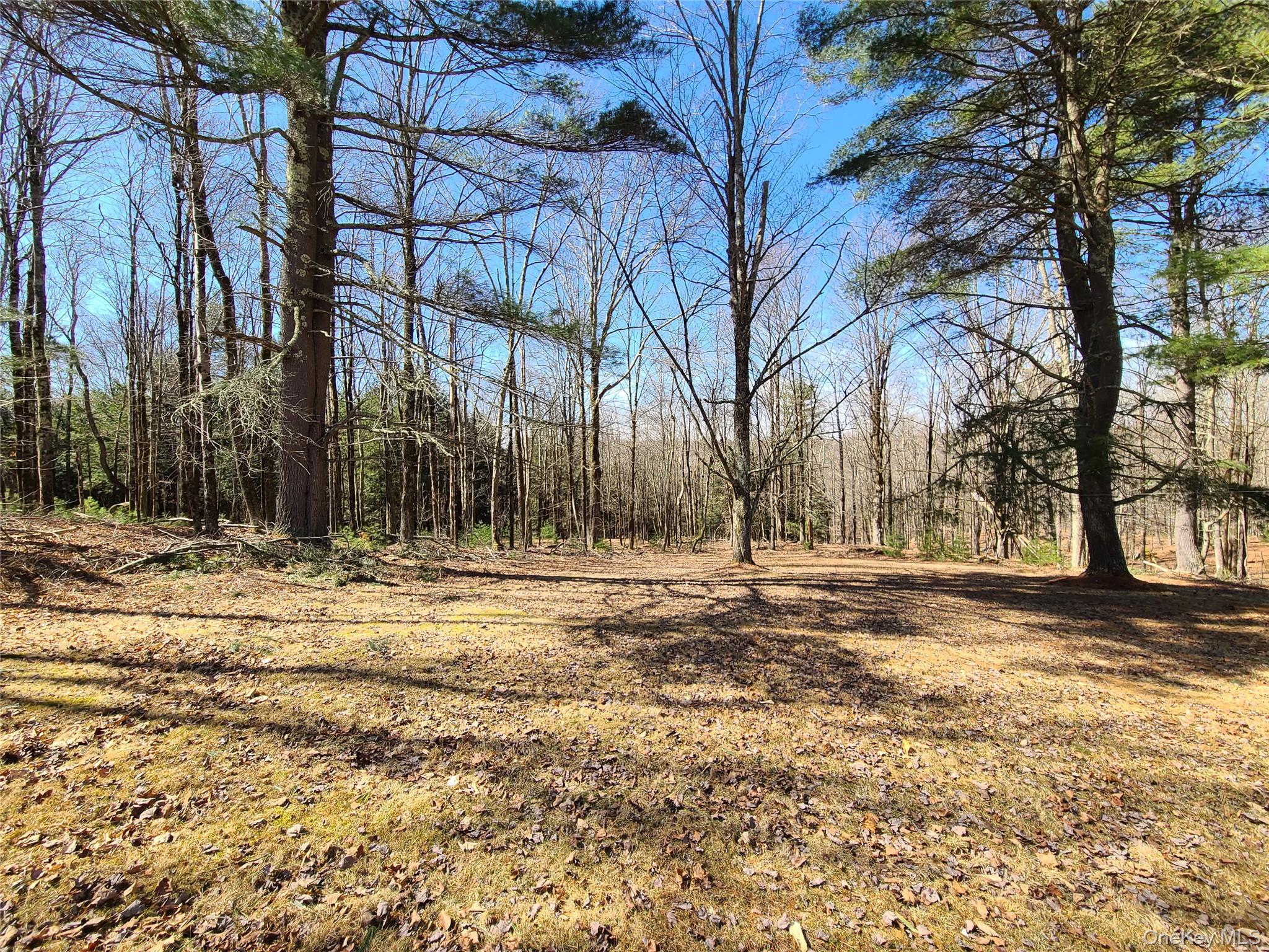 1095 State Route 17B – For Sale photo 43