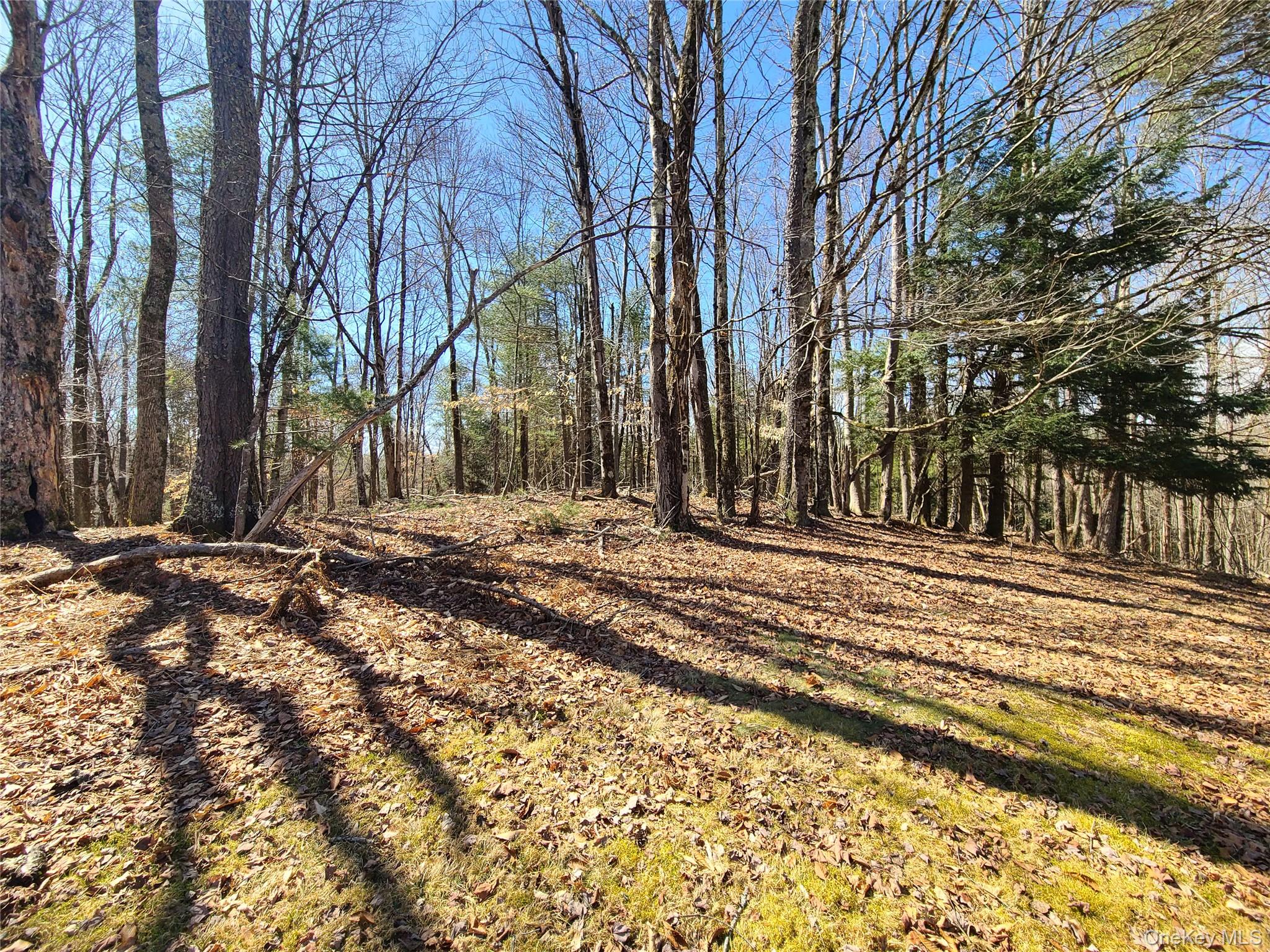 1095 State Route 17B – For Sale photo 42