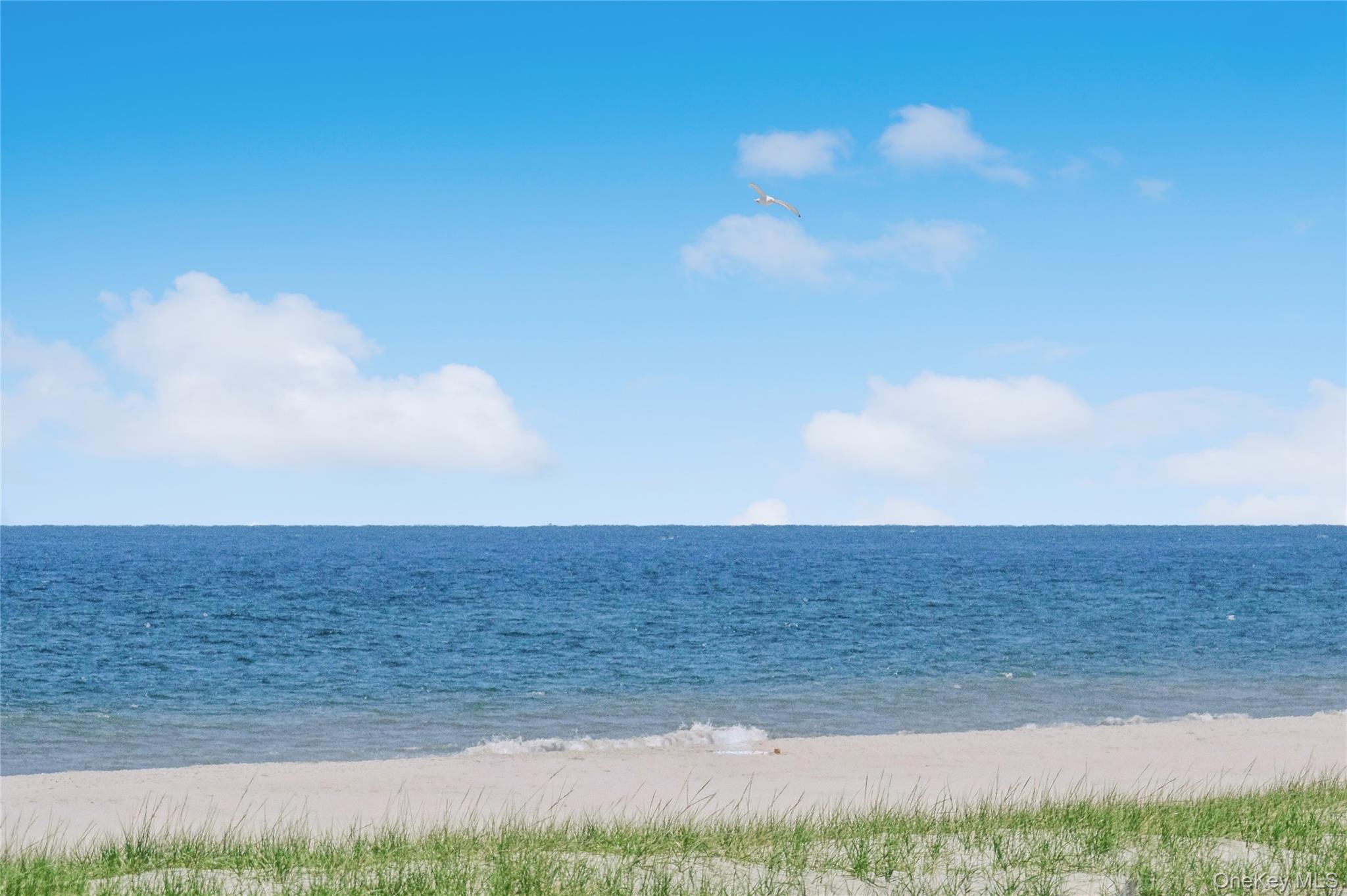846 Dune Road – For Rent photo 28