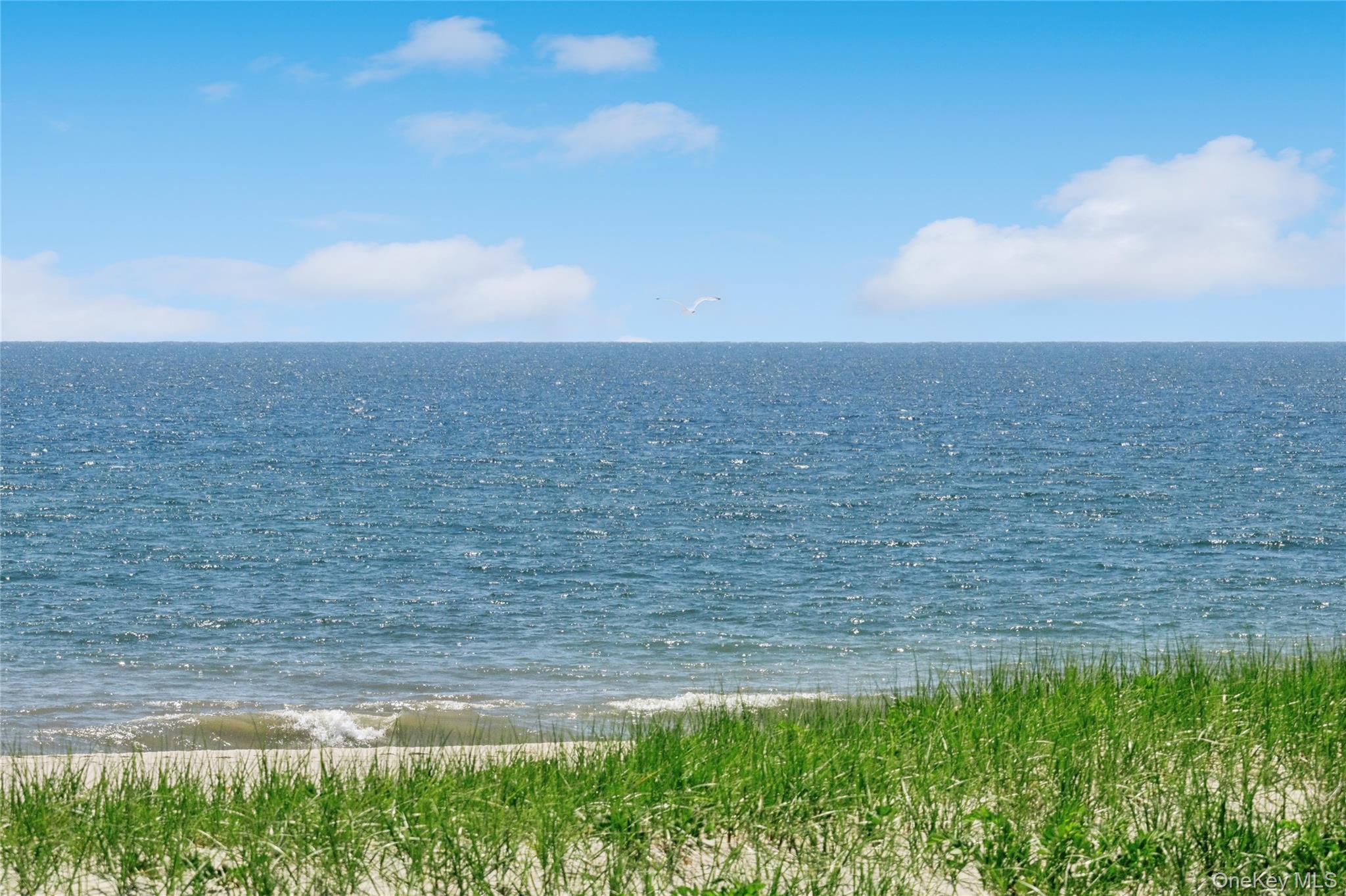 846 Dune Road – For Rent photo 29