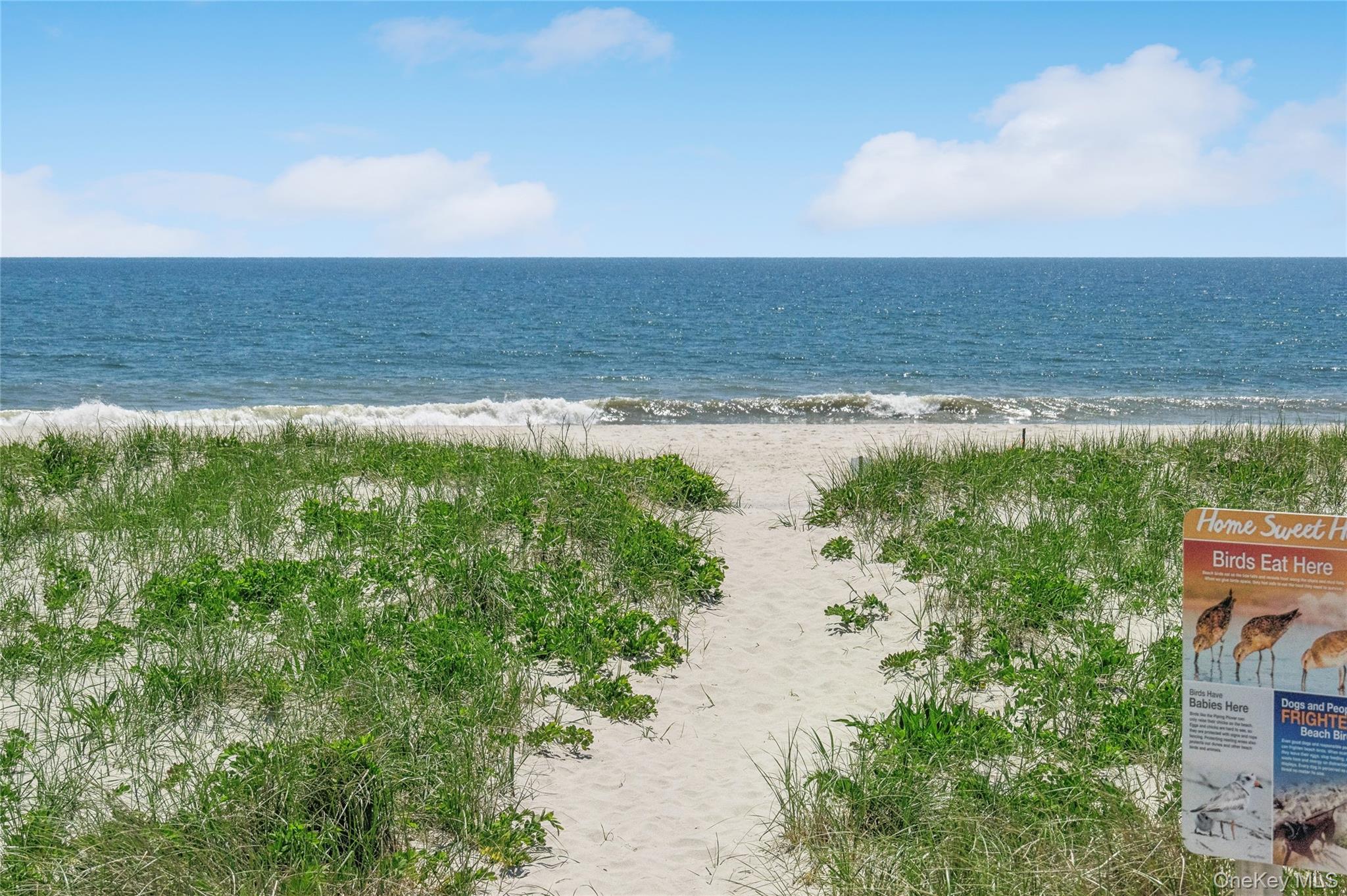 846 Dune Road – For Rent photo 27