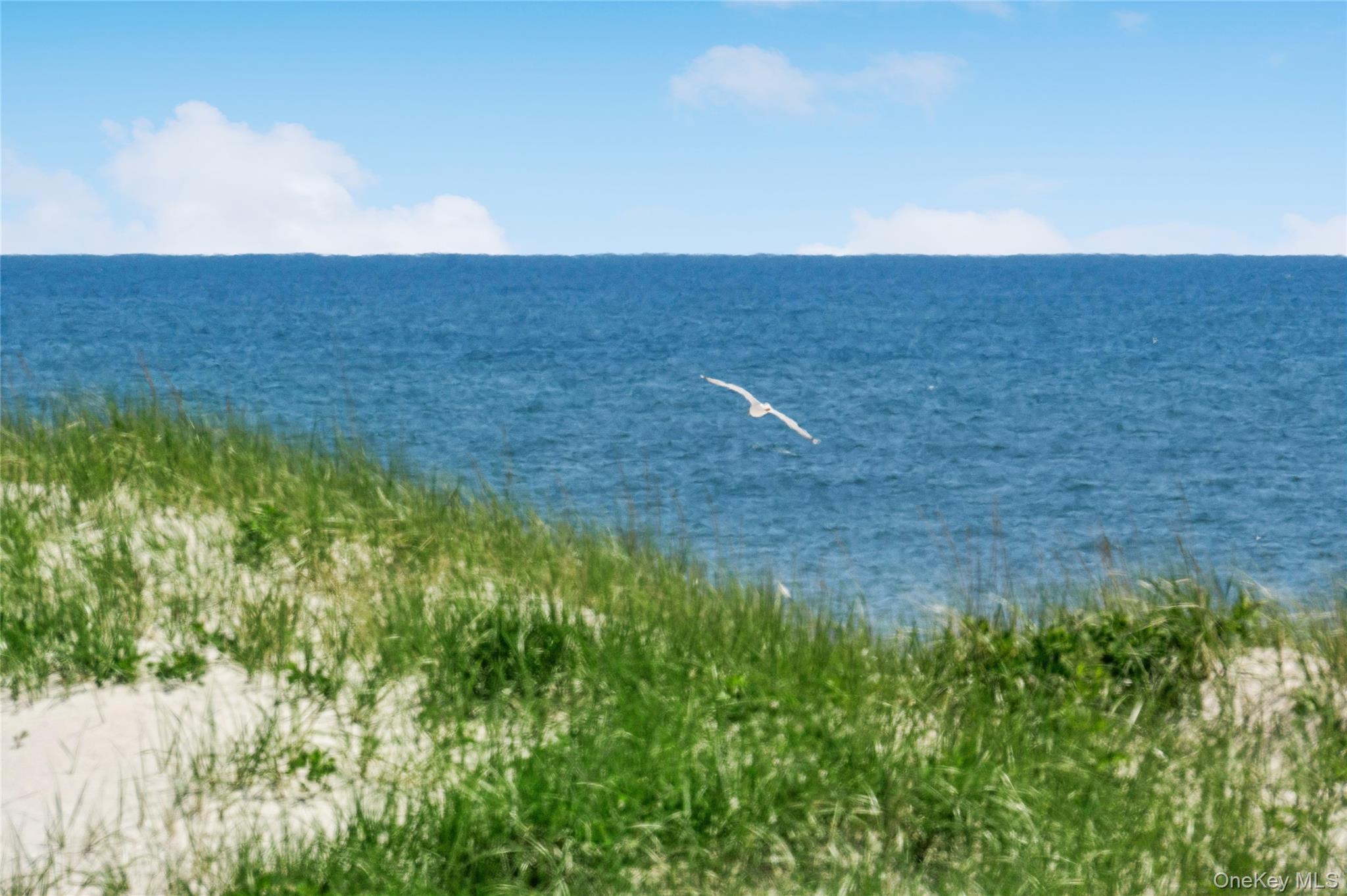 846 Dune Road – For Rent photo 30