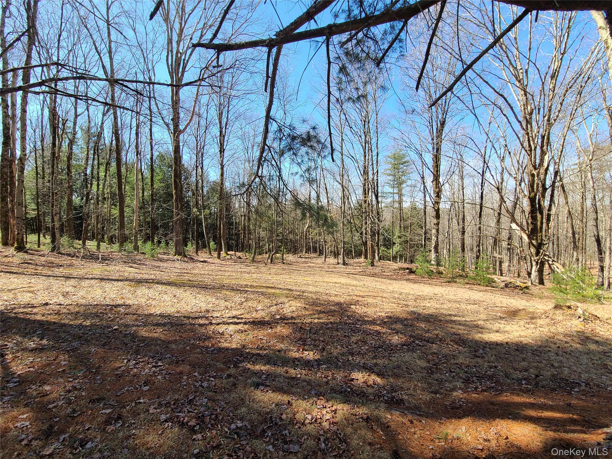 1095 State Route 17B – For Sale photo 41