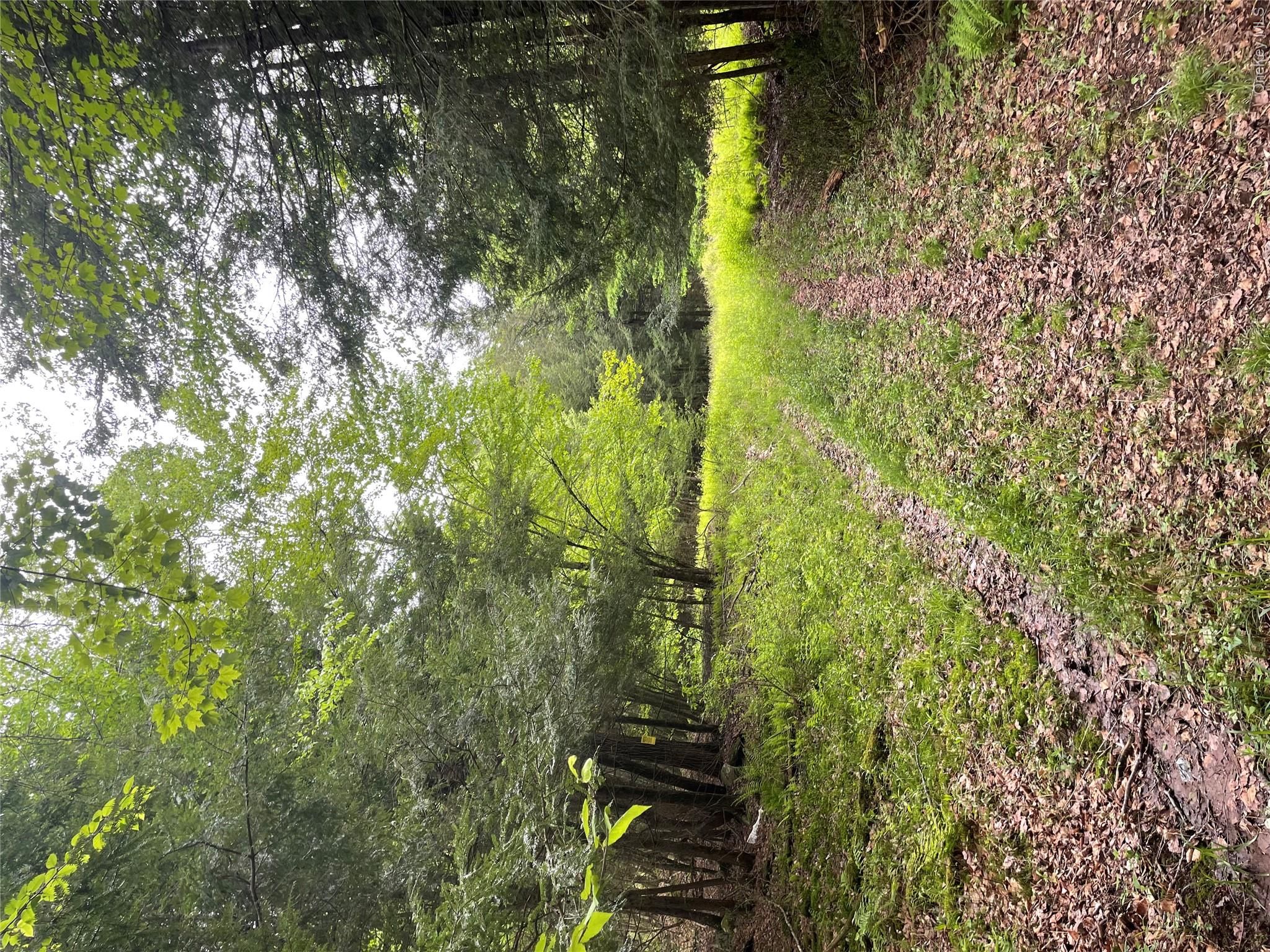 39 Birch Lane – For Sale photo 14