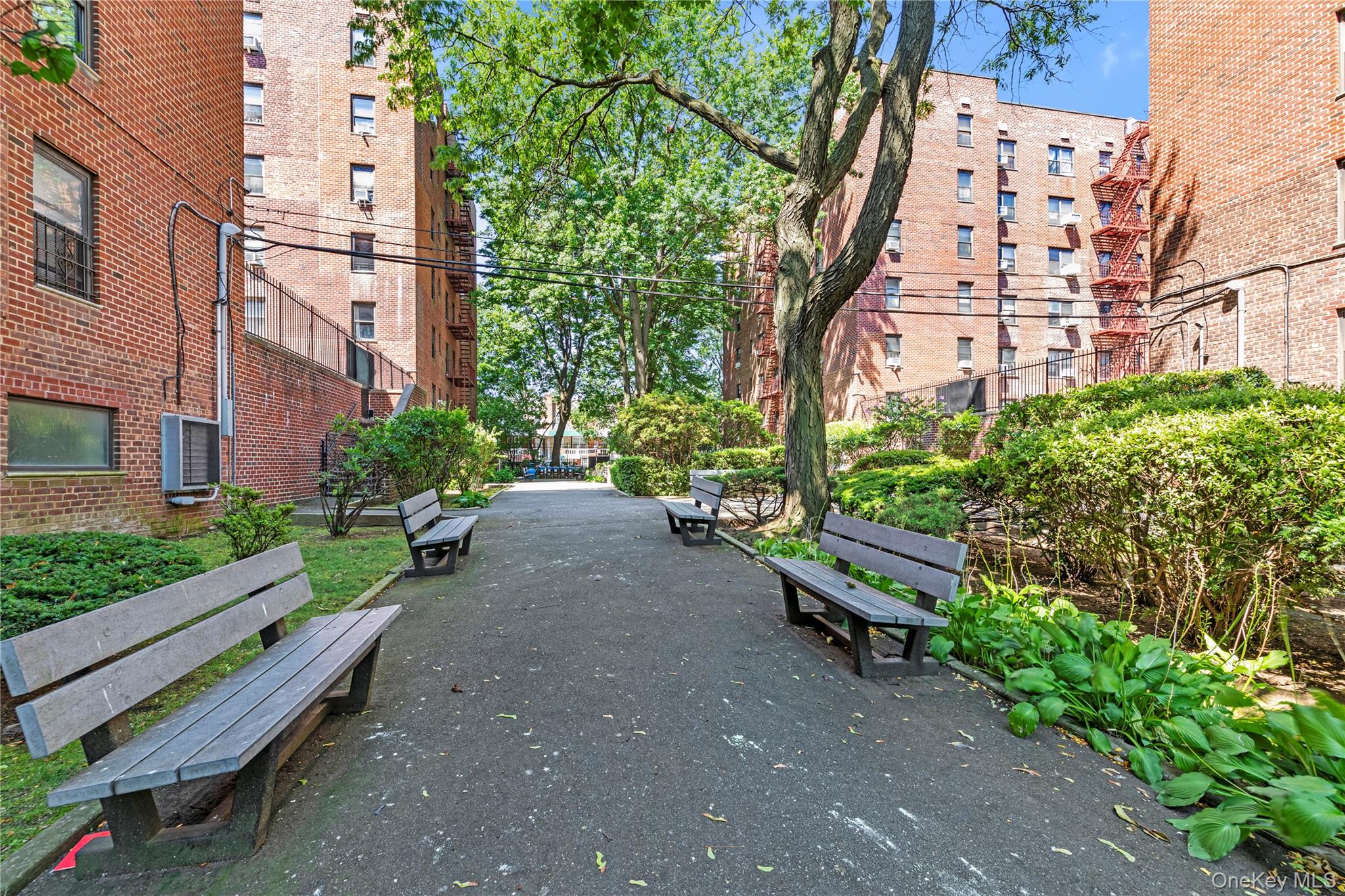 32-40 89 Street, Unit 110 photo 14