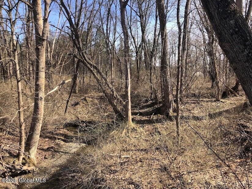 21920 NY-22 – For Sale photo 30