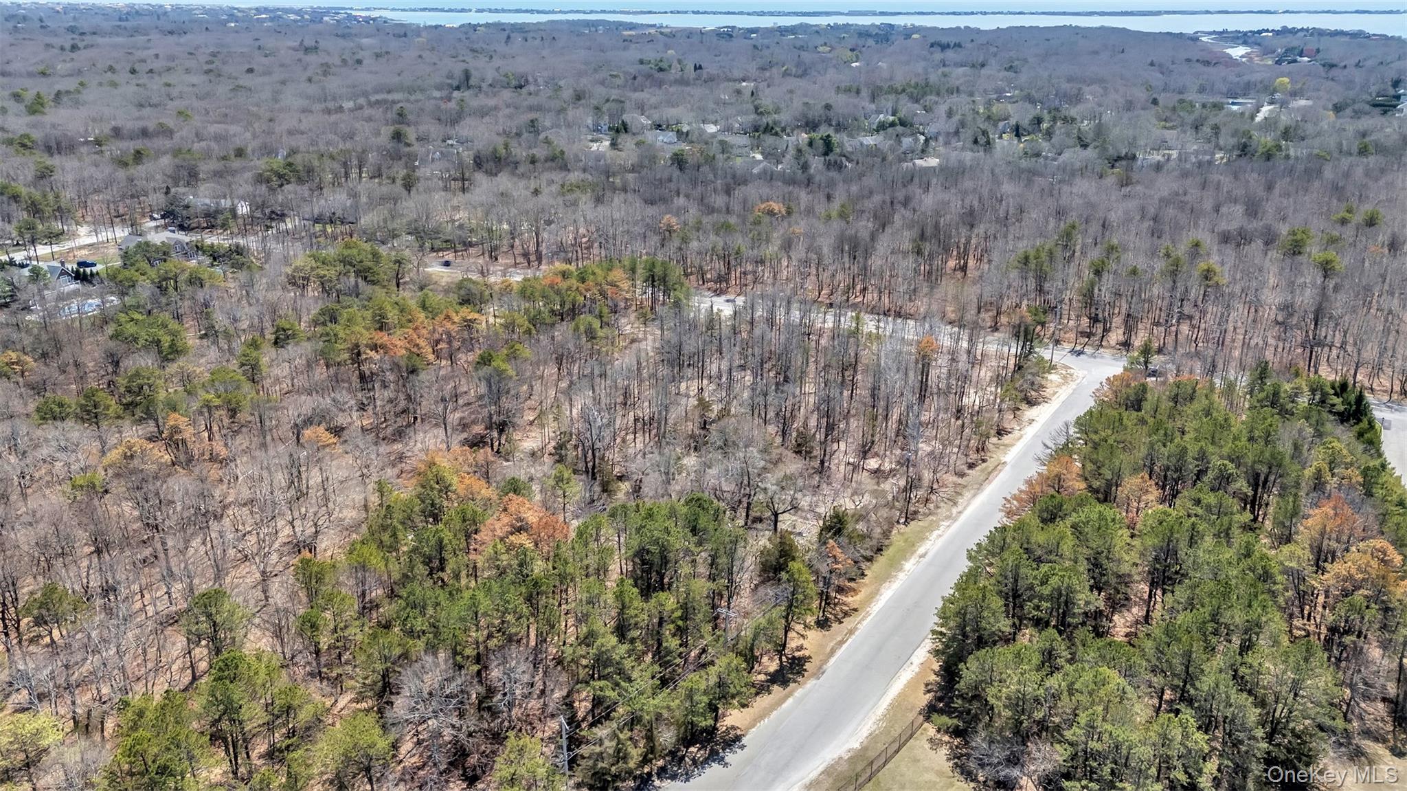 98 Old Country Road – For Sale photo 4