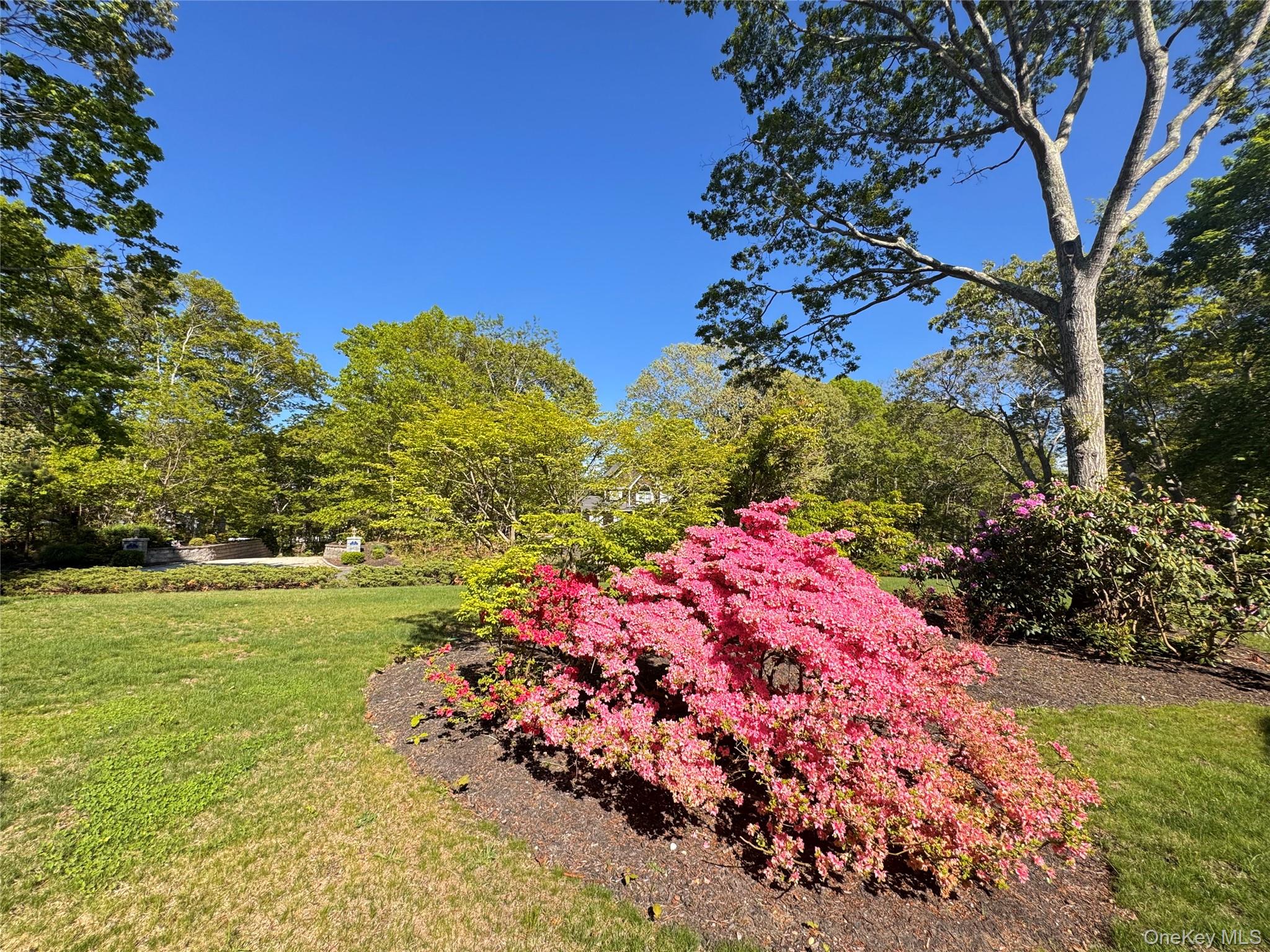 3 Debbie Trail – For Rent photo 13