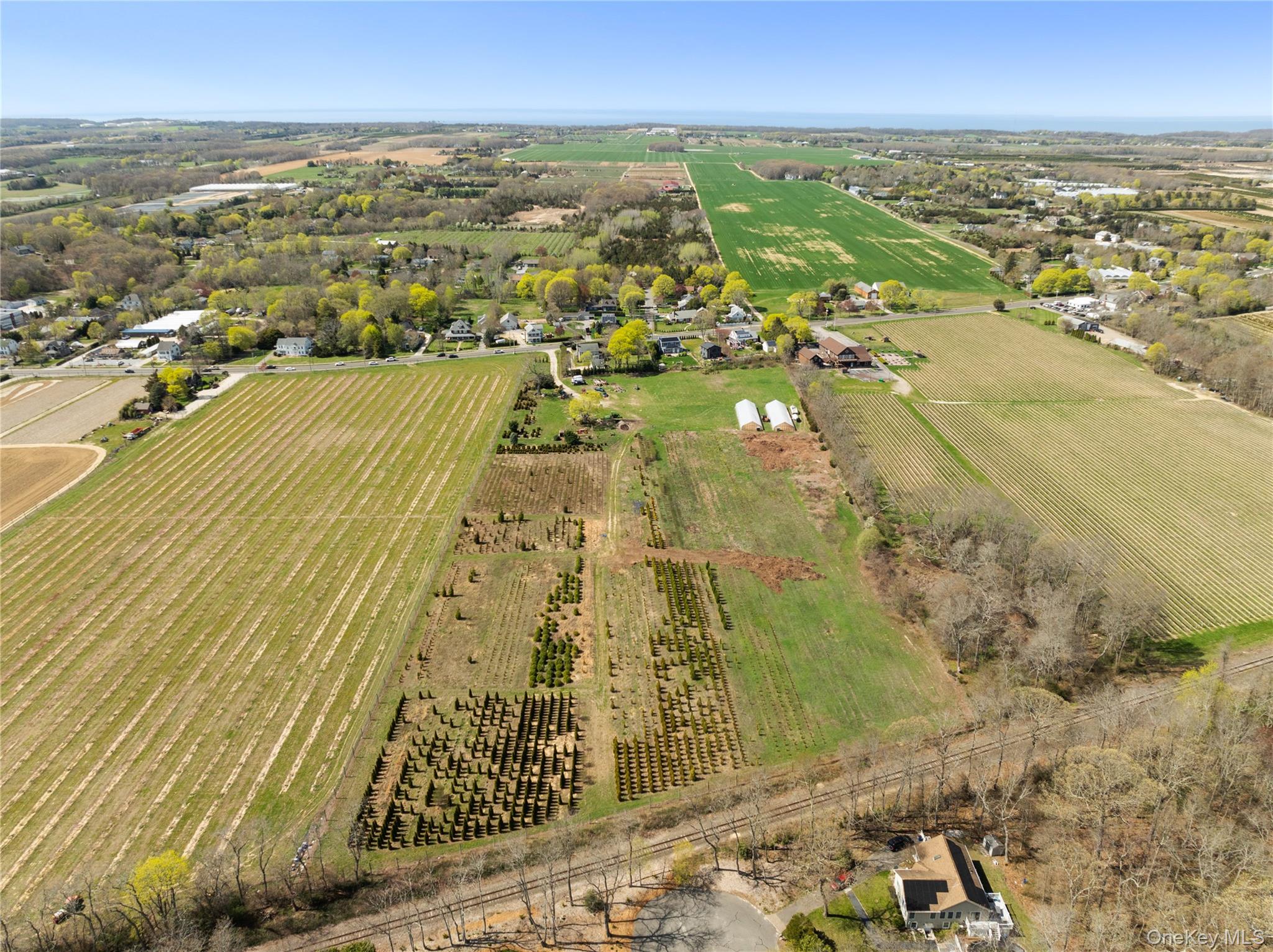 1705 & 1709 Main Road – For Sale photo 7