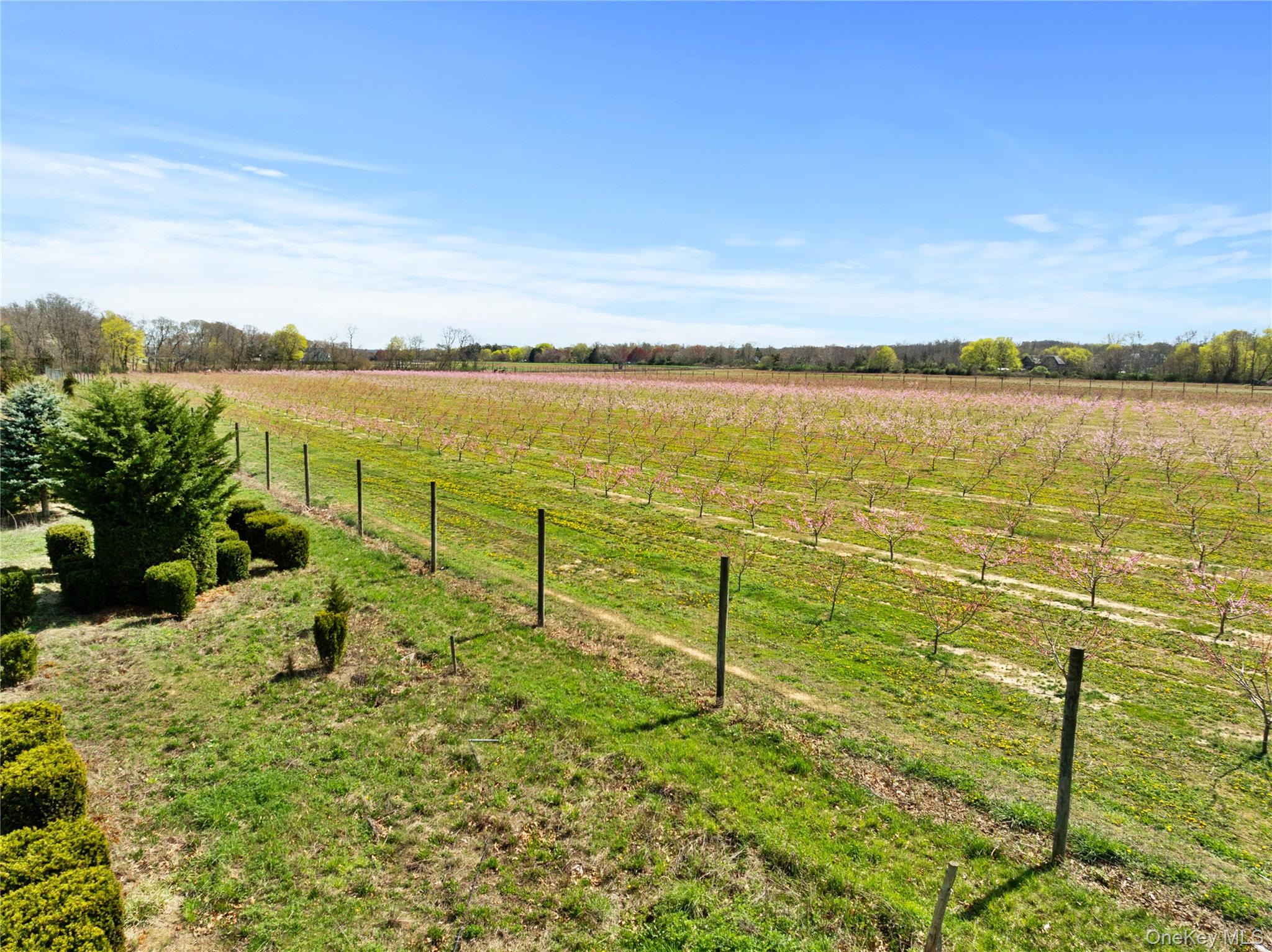 1705 & 1709 Main Road – For Sale photo 9