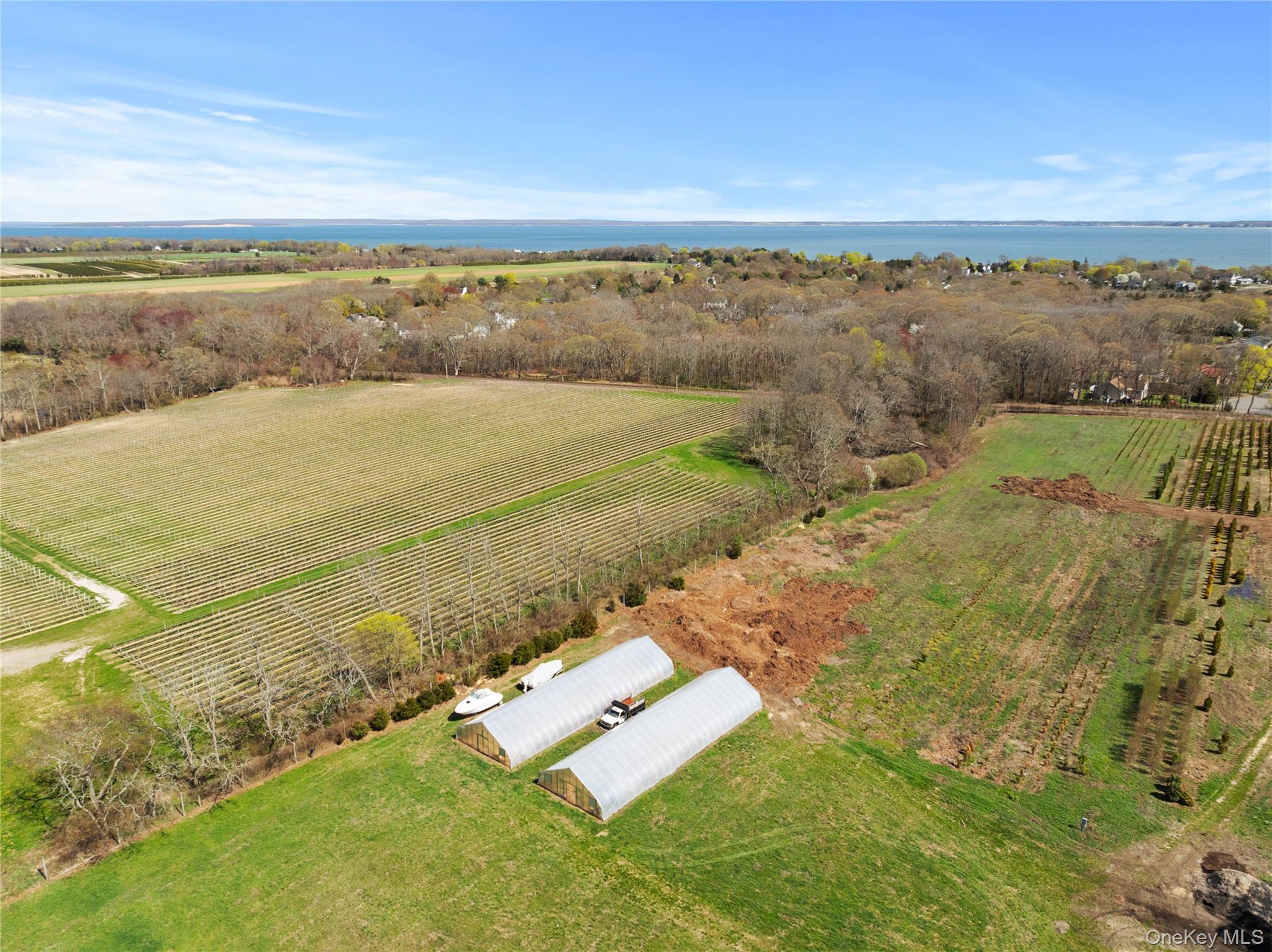 1705 & 1709 Main Road – For Sale photo 6