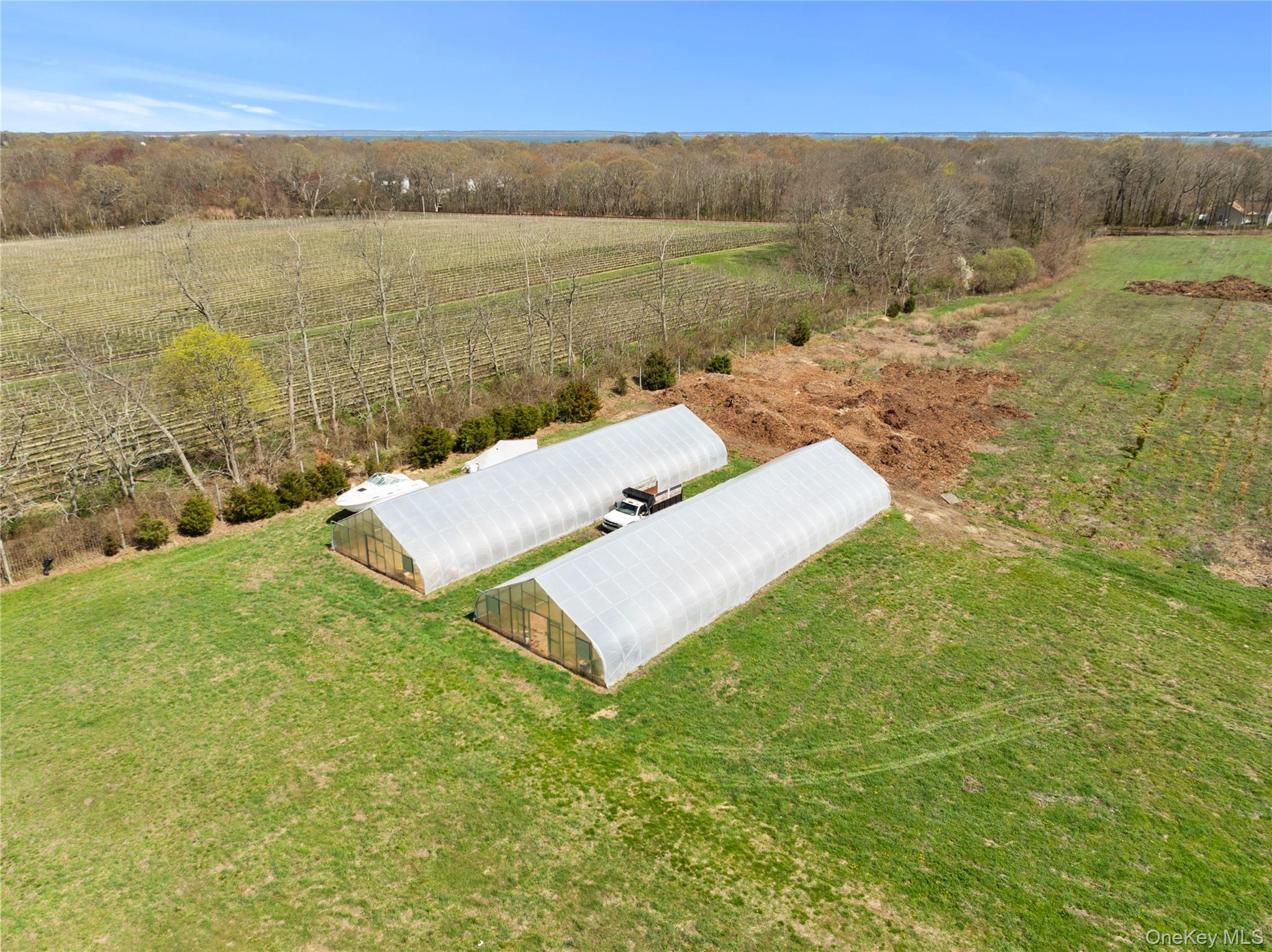 1705 & 1709 Main Road – For Sale photo 5