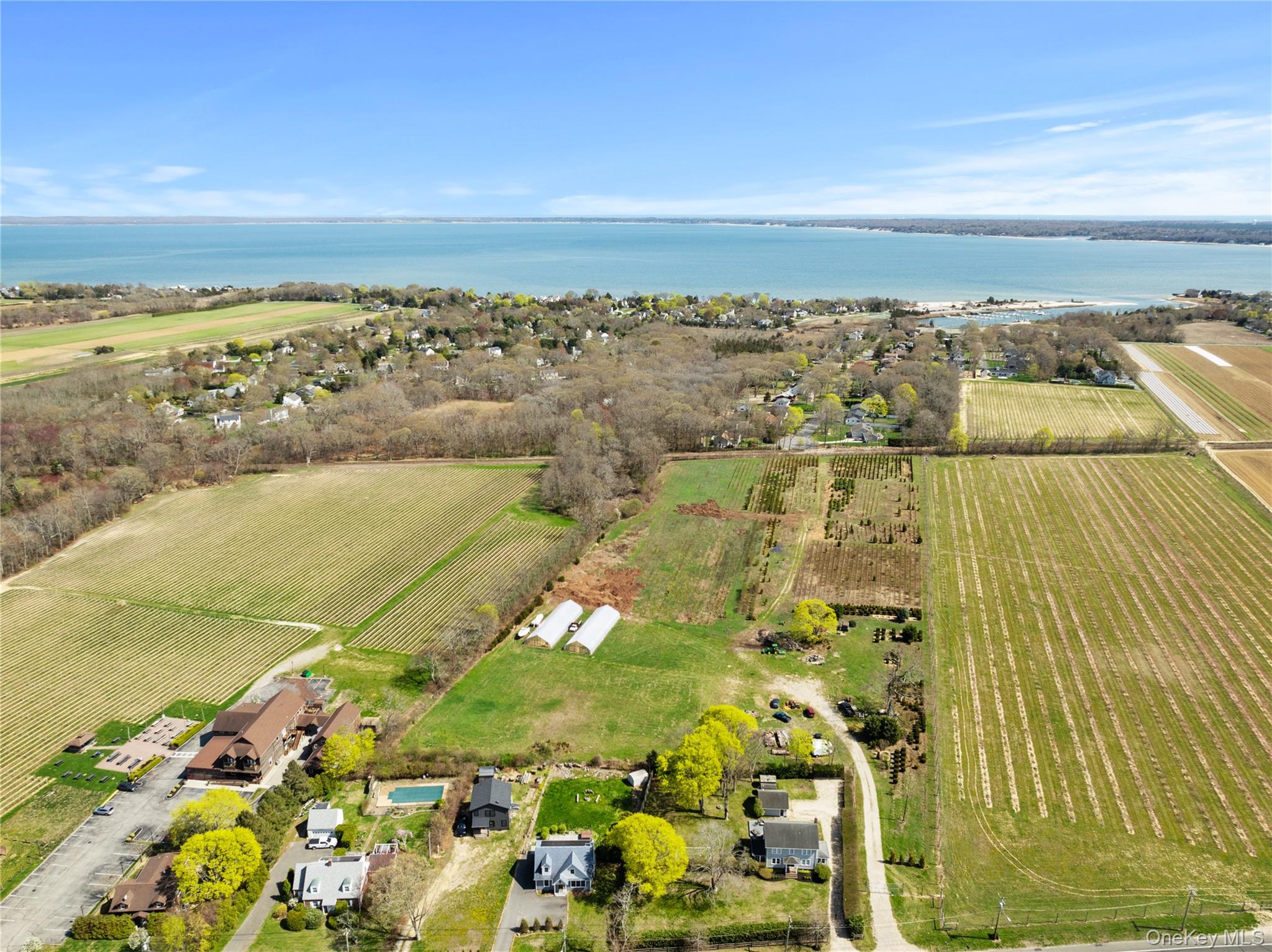 1705 & 1709 Main Road – For Sale photo 2