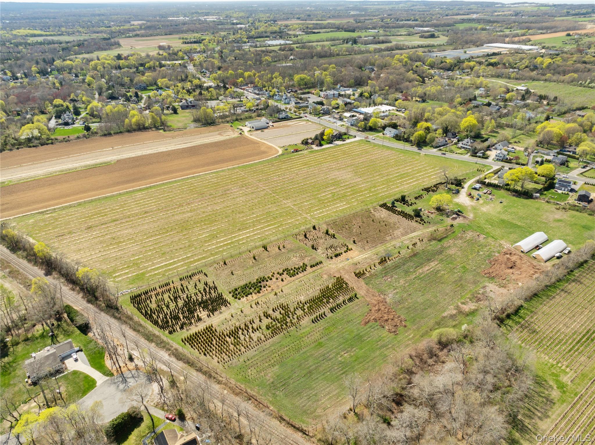 1705 & 1709 Main Road – For Sale photo 8
