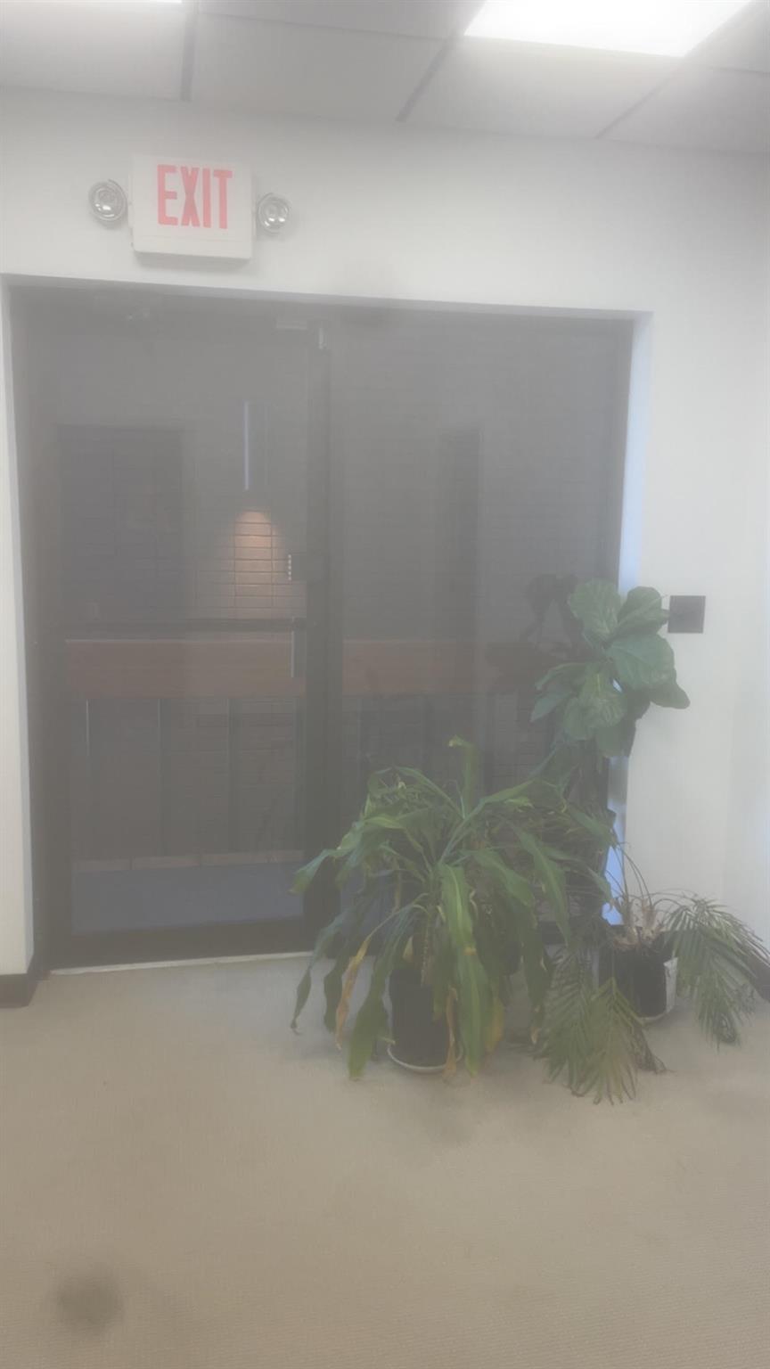 121-123 Rombout Avenue, Unit 2 photo 16