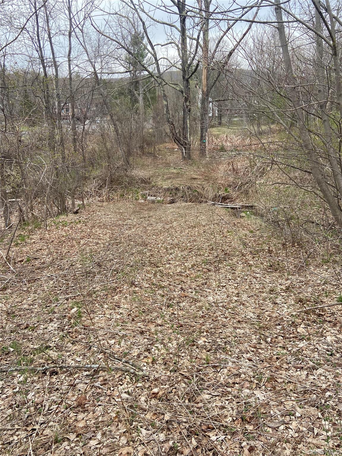 5232 Route 23A – For Sale photo 3