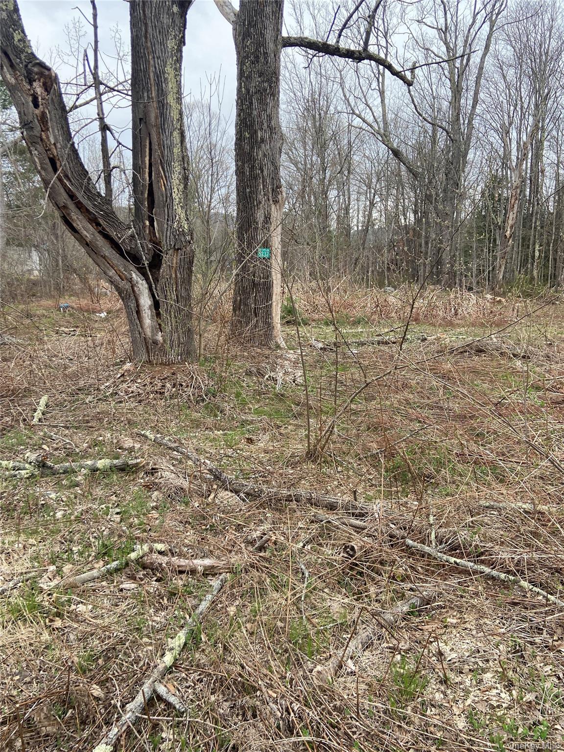 5232 Route 23A – For Sale photo 5
