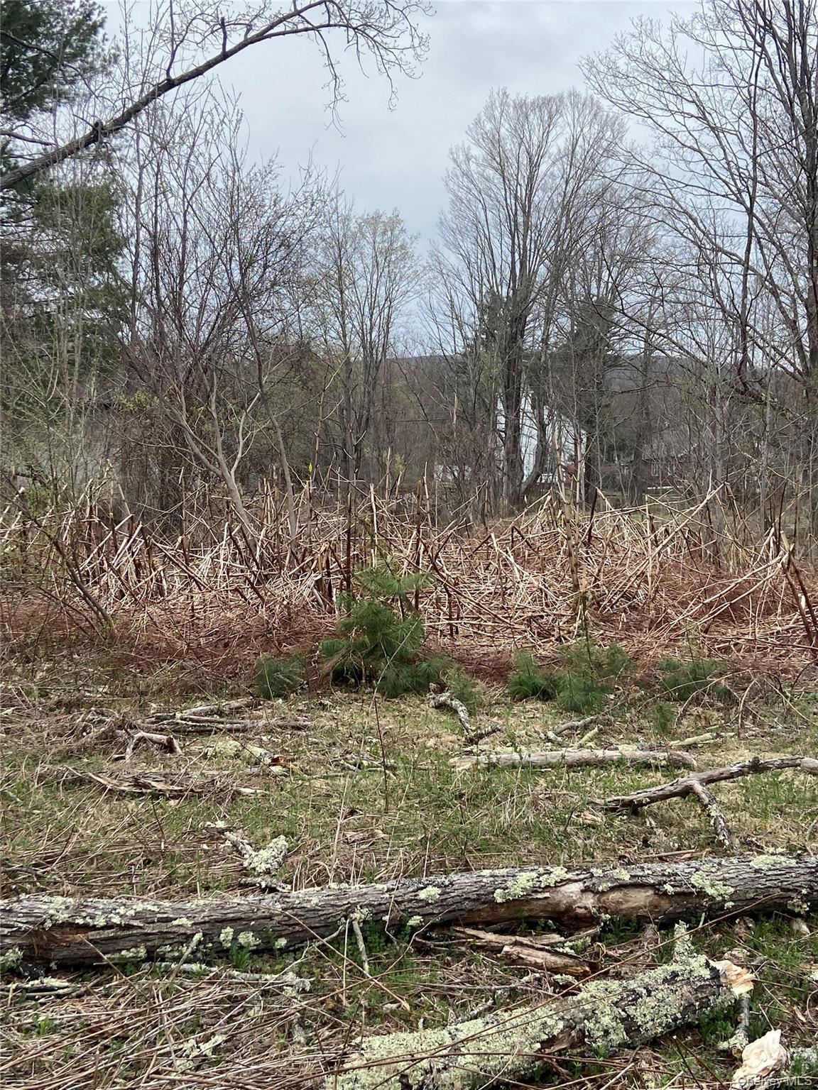 5232 Route 23A – For Sale photo 6