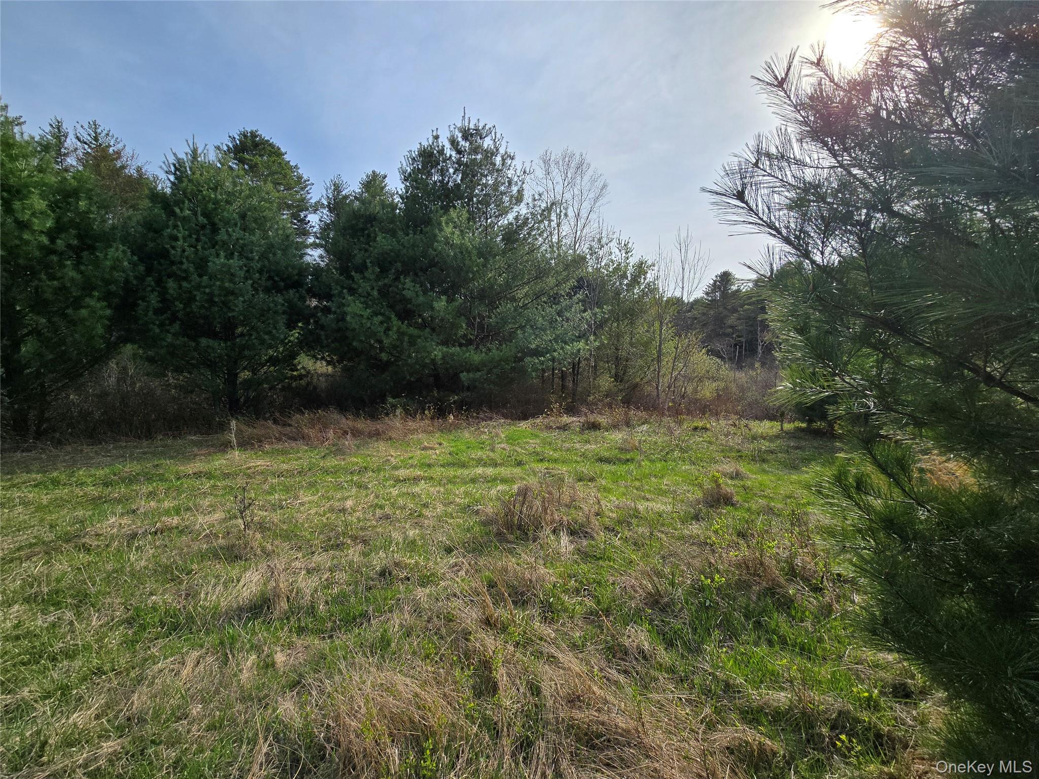 #TBD NYS Route 17B – For Sale photo 22