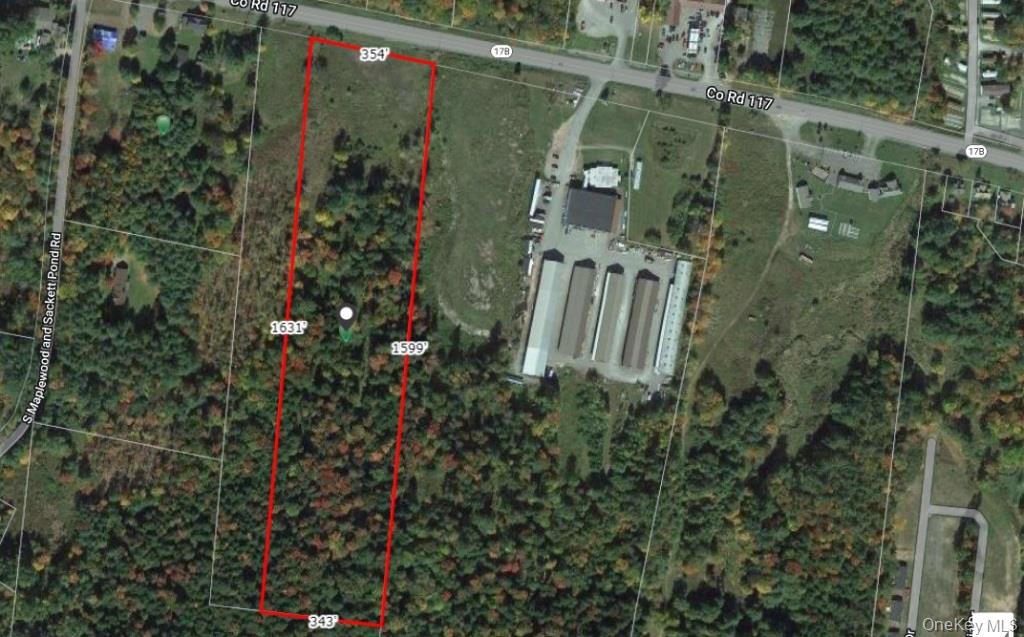 #TBD NYS Route 17B – For Sale photo 3