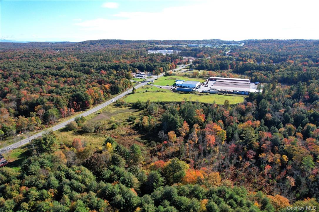#TBD NYS Route 17B – For Sale photo 11
