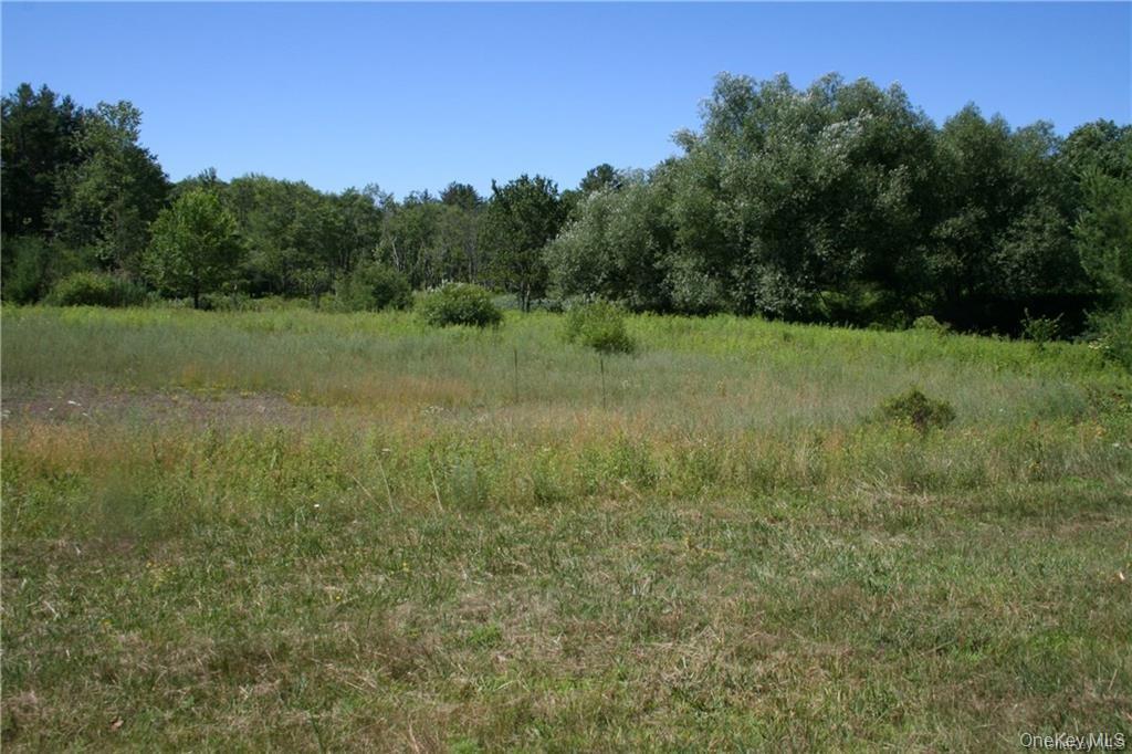 #TBD NYS Route 17B – For Sale photo 17