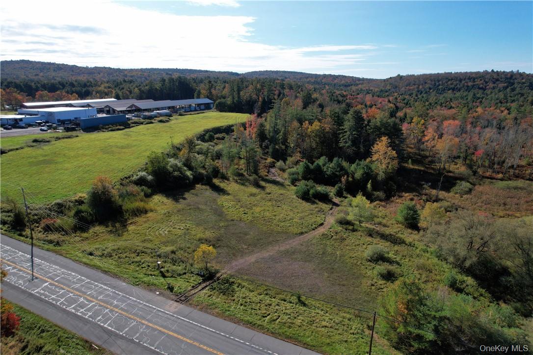 #TBD NYS Route 17B – For Sale
