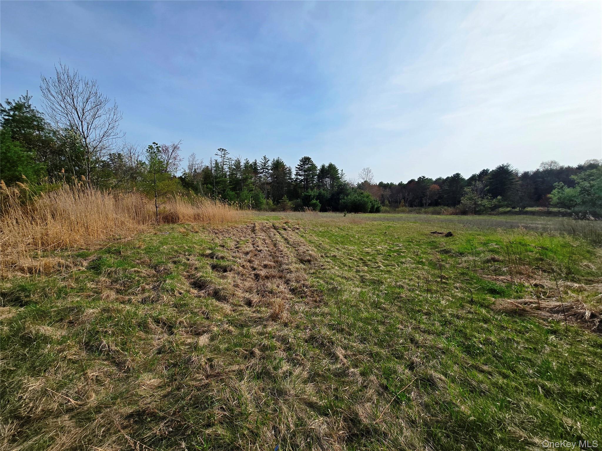#TBD NYS Route 17B – For Sale photo 10