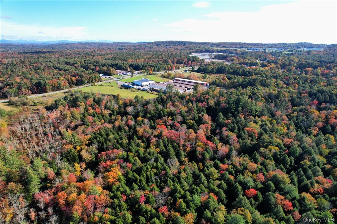 #TBD NYS Route 17B – For Sale photo 12