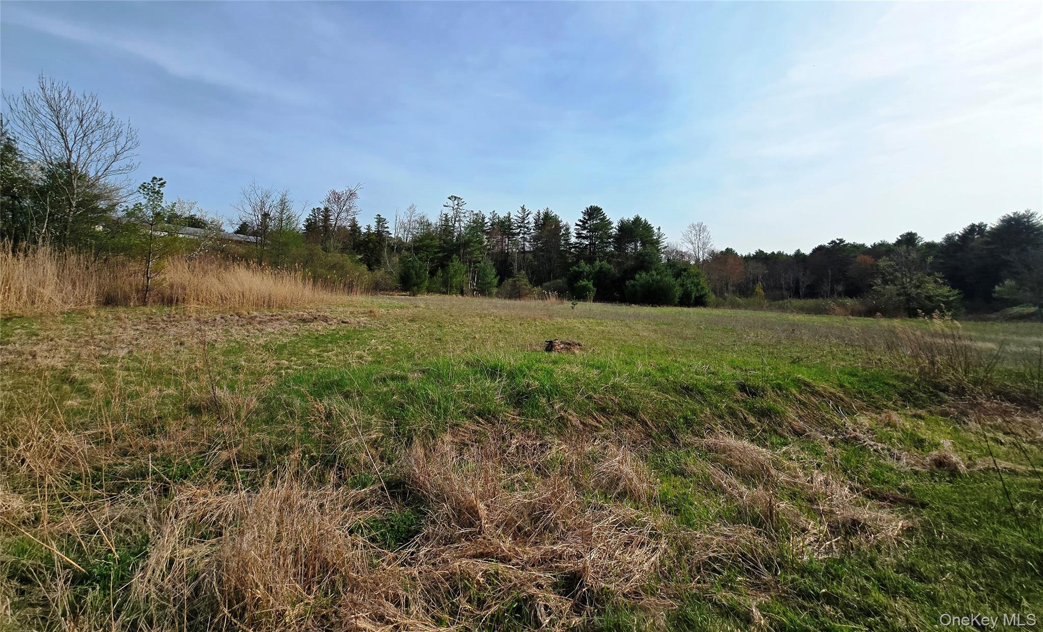 #TBD NYS Route 17B – For Sale photo 13