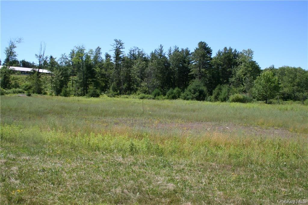 #TBD NYS Route 17B – For Sale photo 16