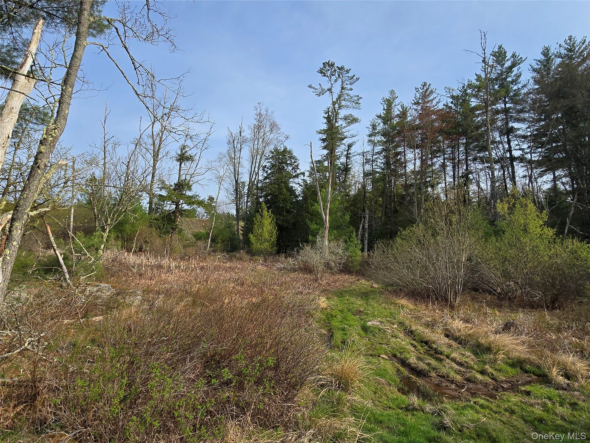 #TBD NYS Route 17B – For Sale photo 24