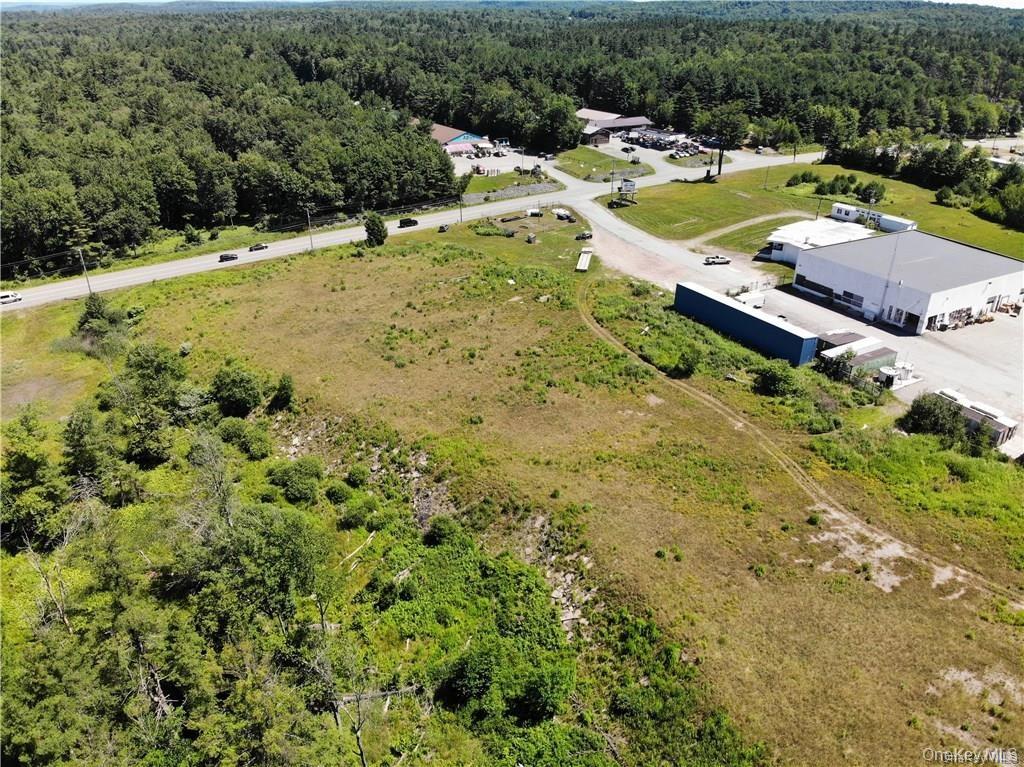 #TBD NYS Route 17B – For Sale photo 6